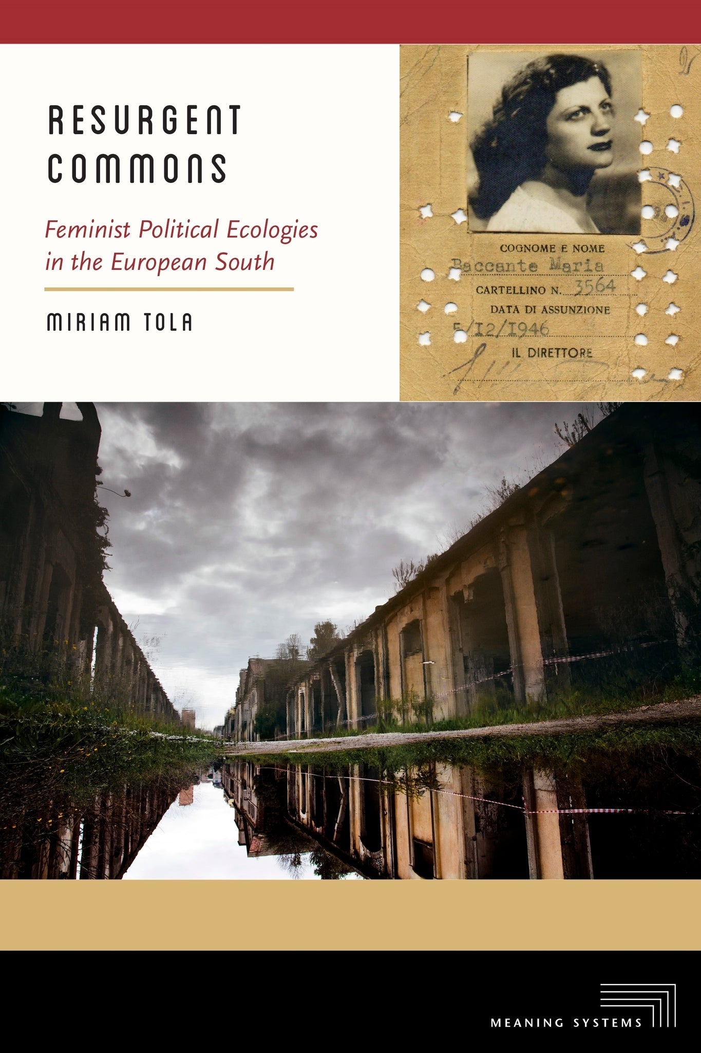 Cover image for Resurgent Commons ISBN 9781531512521