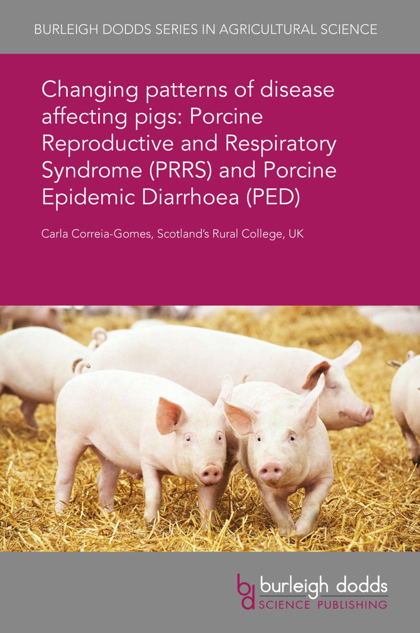 Cover image for Changing patterns of disease affecting pigs: Porcine Reproductive and Respiratory Syndrome (PRRS) and Porcine Epidemic Diarrhoea (PED) ISBN 9781838795146
