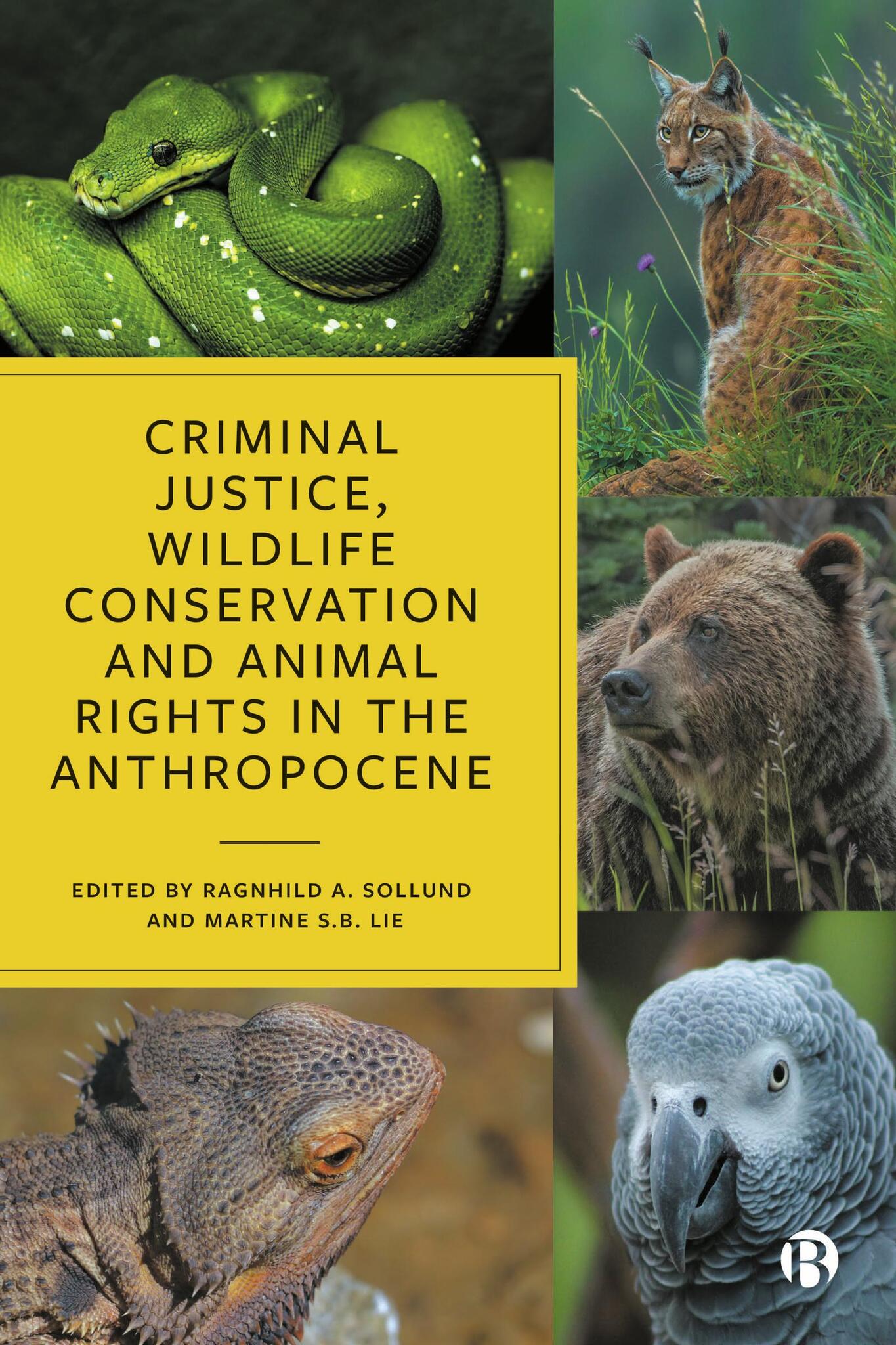 Cover image for Criminal Justice, Wildlife Conservation and Animal Rights in the Anthropocene ISBN 9781529223361
