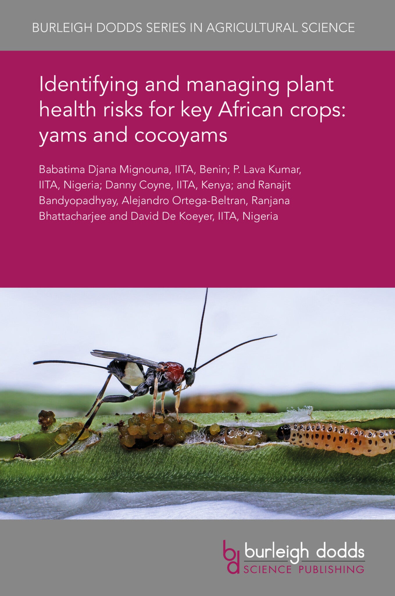 Cover image for Identifying and managing plant health risks for key African crops: yams and cocoyams ISBN 9781838797560