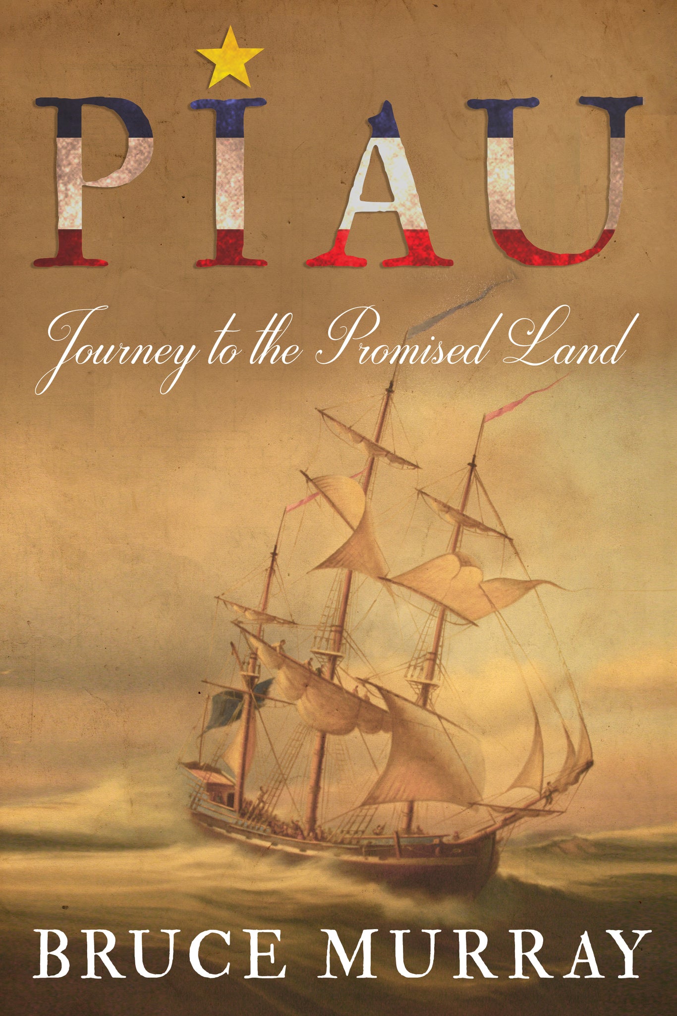 Cover image for Piau ISBN 9781459738454