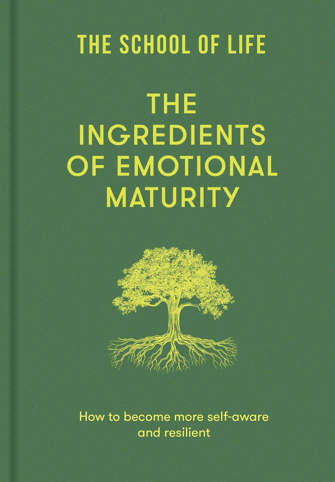 Cover image for The Ingredients of Emotional Maturity ISBN 9781916753518