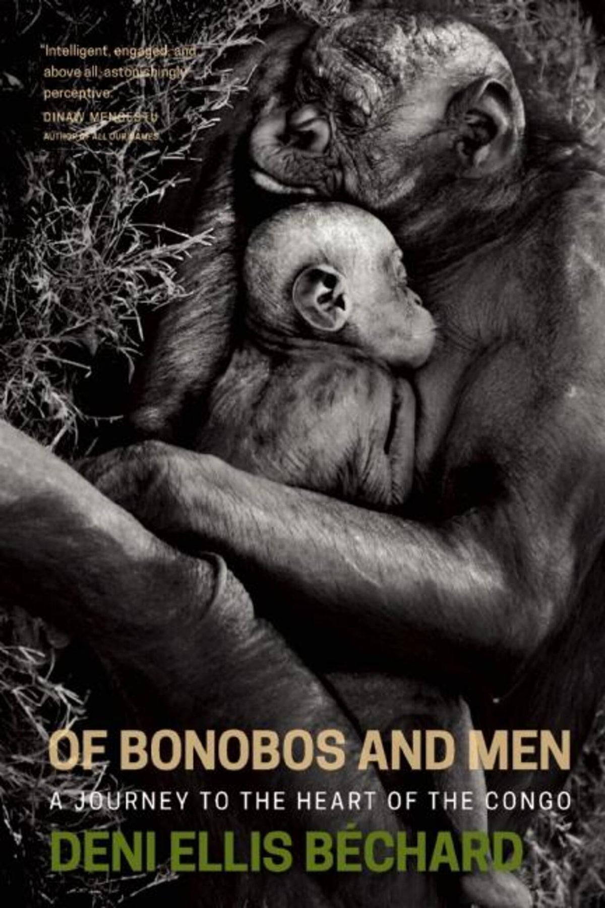 Cover image for Of Bonobos and Men ISBN 9781571313454