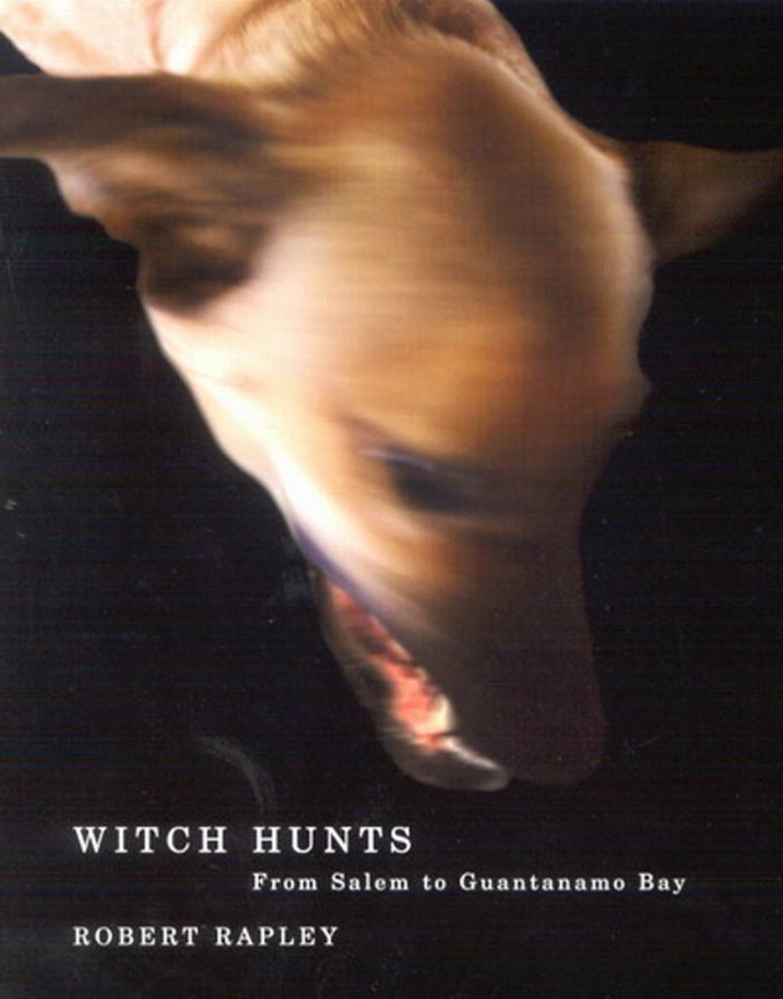 Cover image for Witch Hunts ISBN 9780773531864