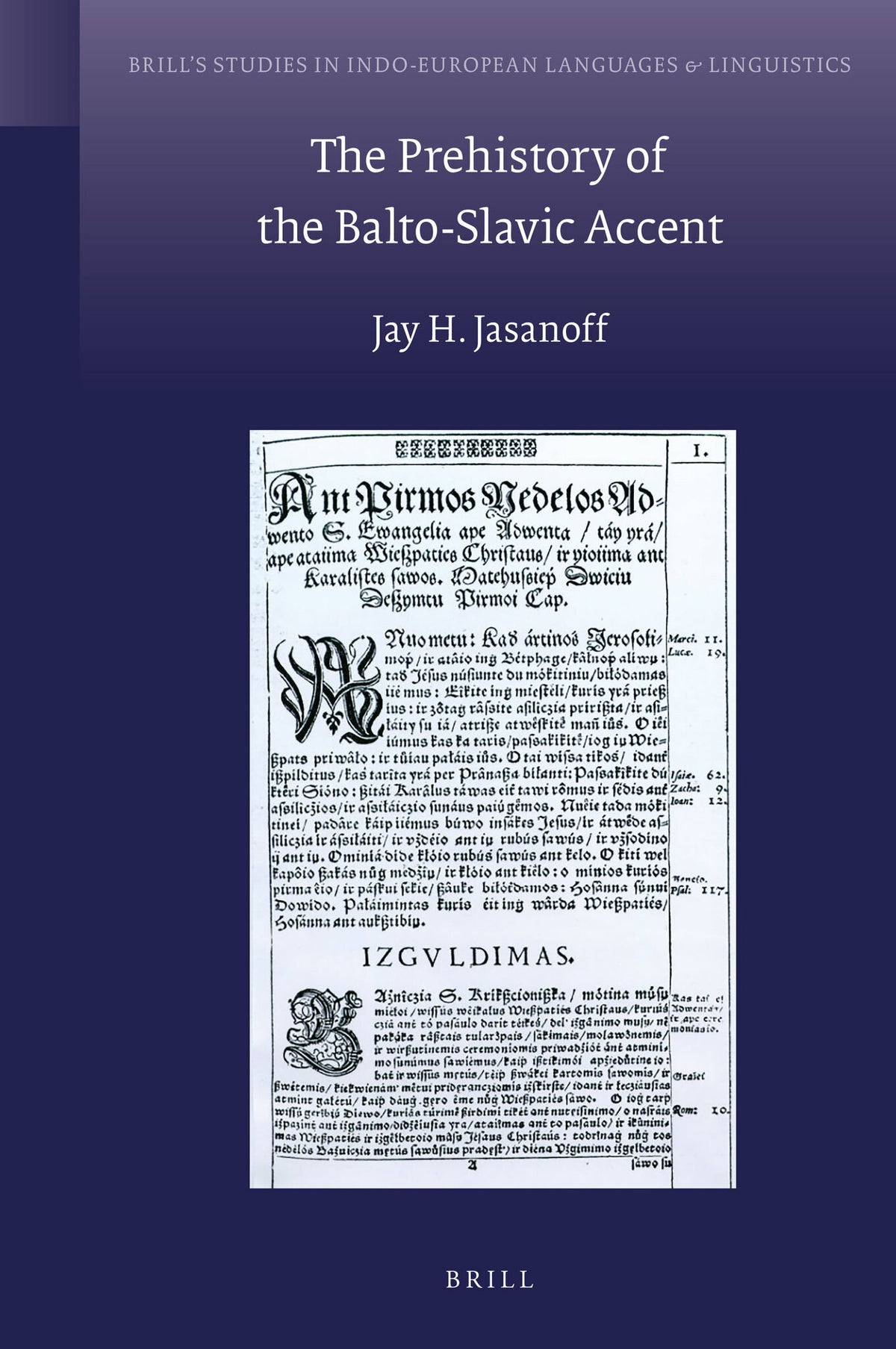Cover image for The Prehistory of the Balto-Slavic Accent ISBN 9789004346093