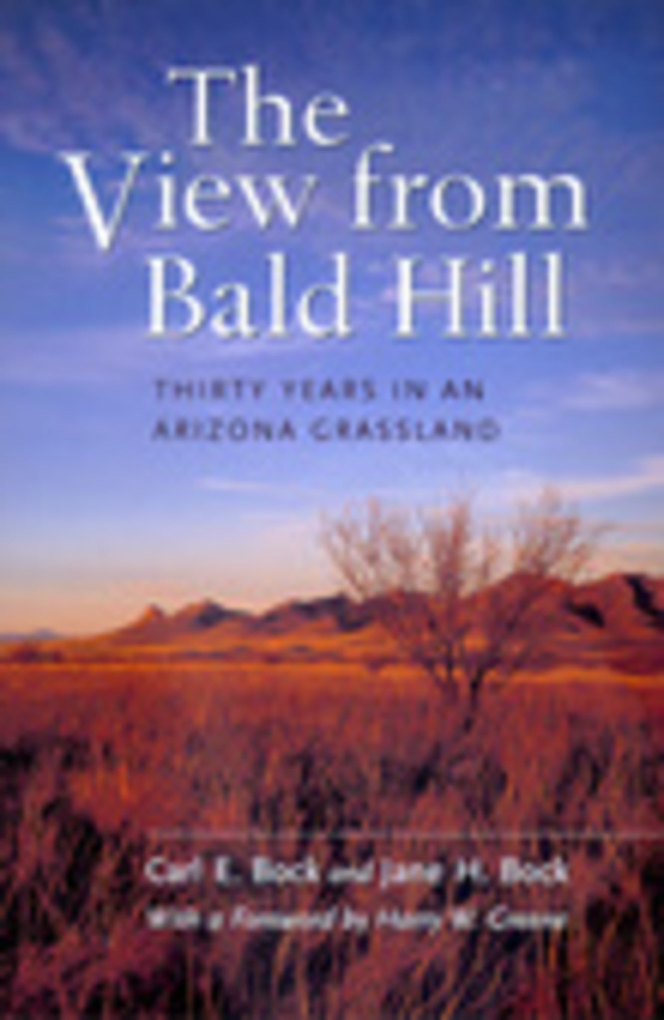 Cover image for The View from Bald Hill ISBN 9780520924260