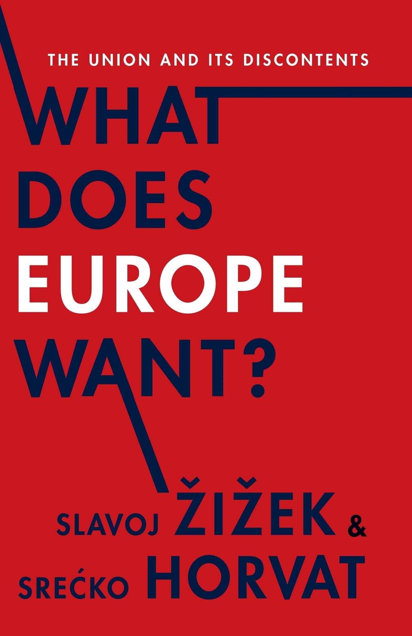 Cover image for What Does Europe Want? ISBN 9780231171069