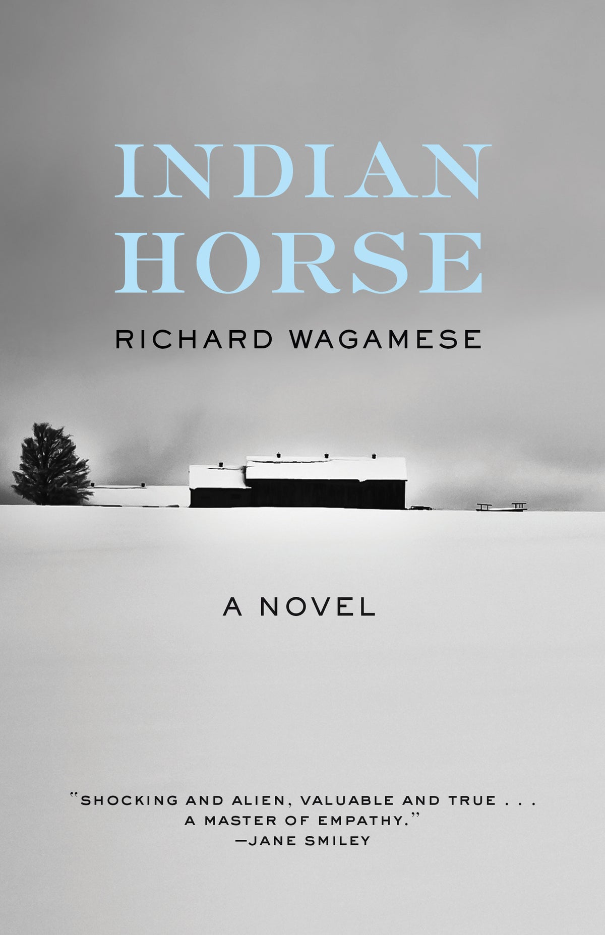 Cover image for Indian Horse ISBN 9781571311306