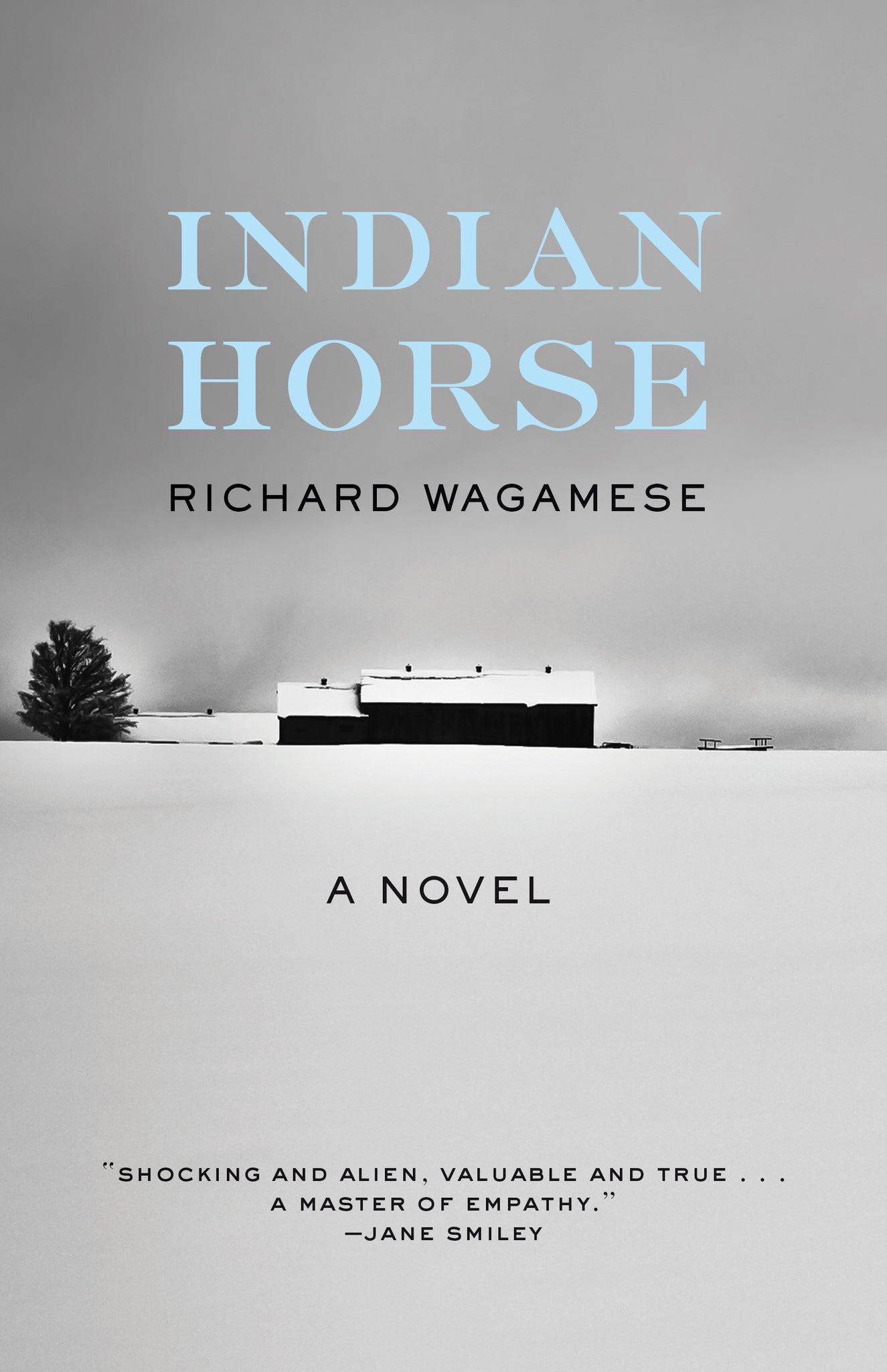Cover image for Indian Horse ISBN 9781571311306