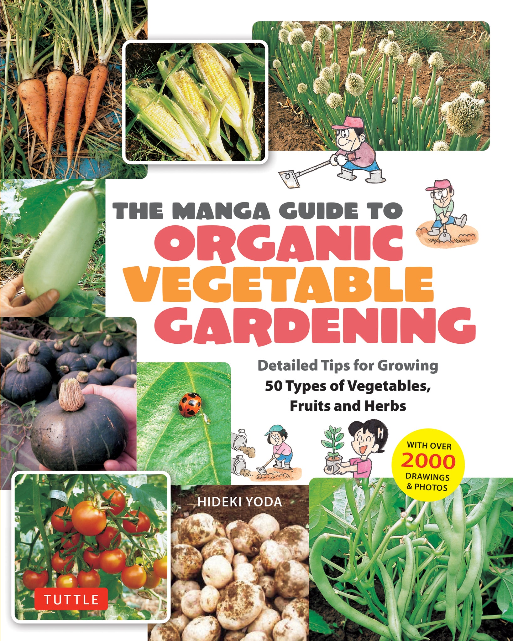 Cover image for The Manga Guide to Organic Vegetable Gardening ISBN 9784805319086