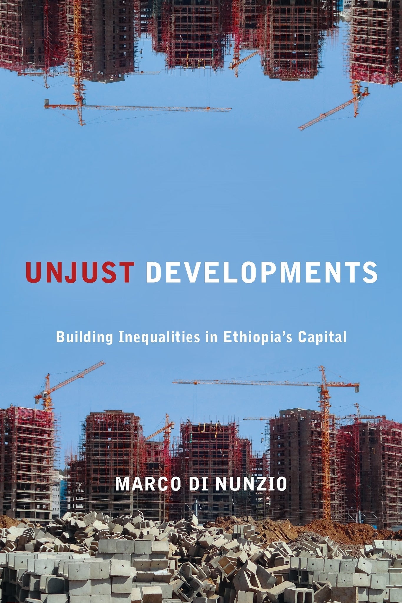 Cover image for Unjust Developments ISBN 9781531513559