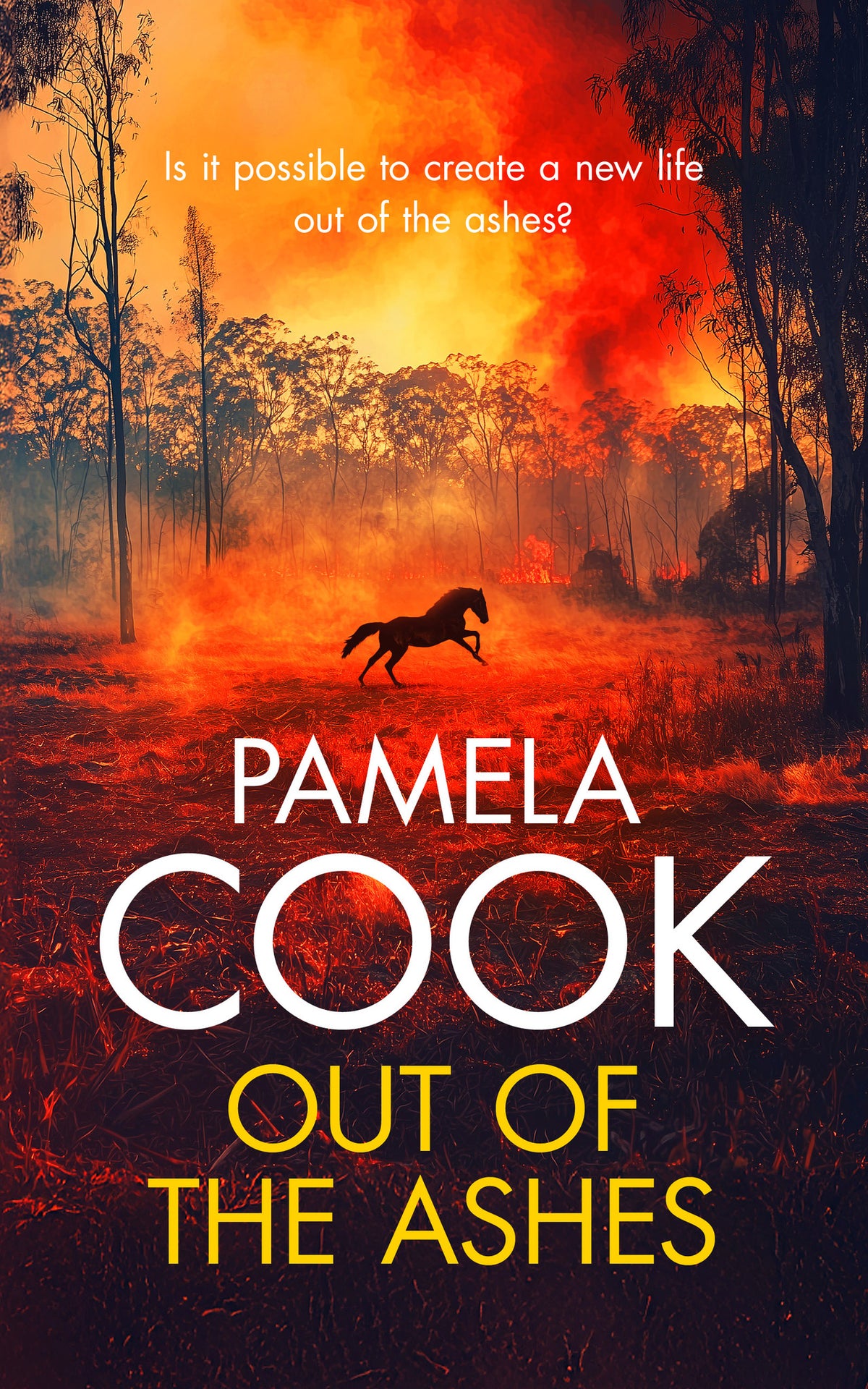 Cover image for Out of the Ashes ISBN 9781036704339