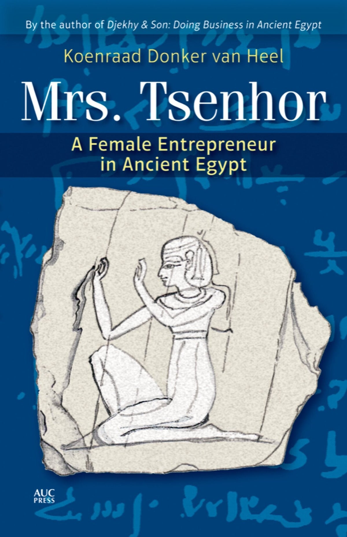 Cover image for Mrs. Tsenhor: ISBN 9781617975691