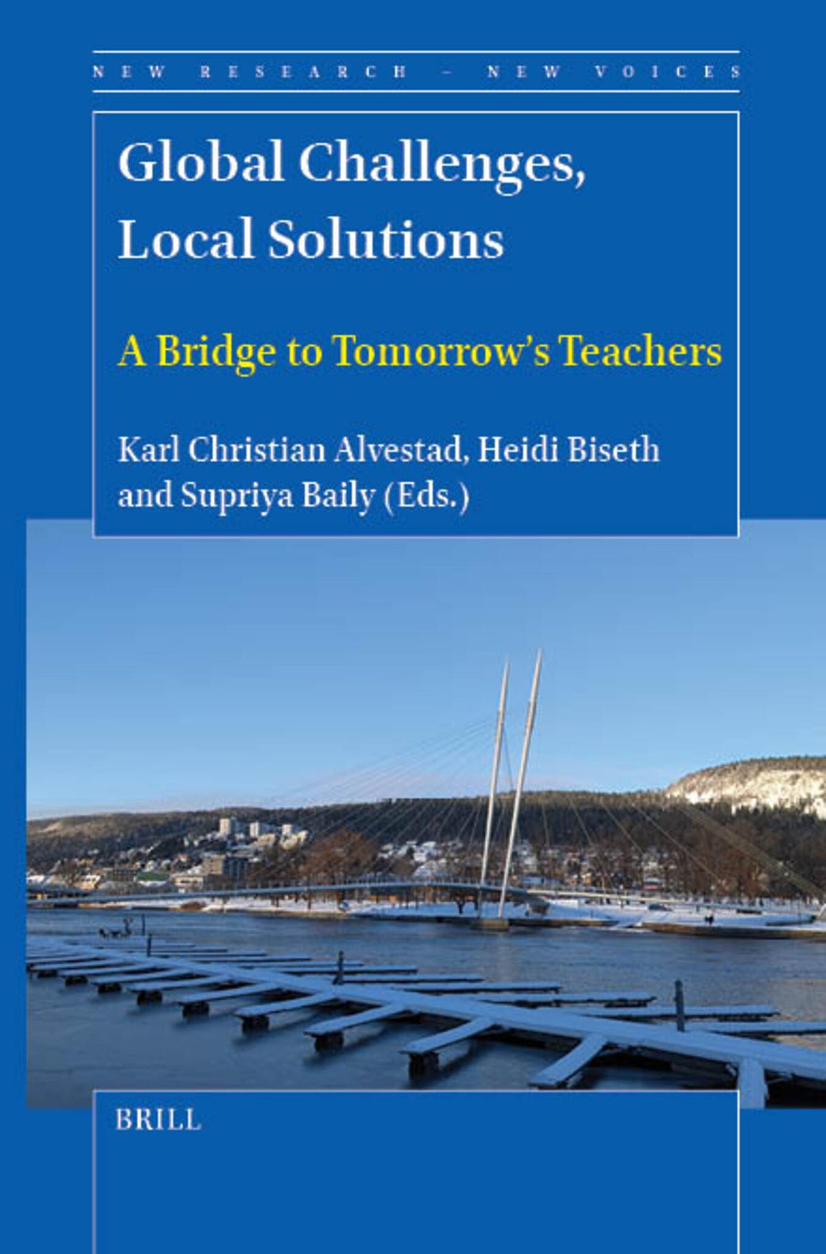 Cover image for Global Challenges, Local Solutions ISBN 9789004717374