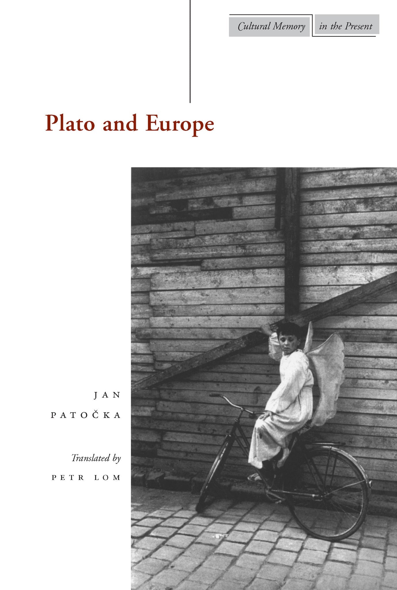 Cover image for Plato and Europe ISBN 9780804738002