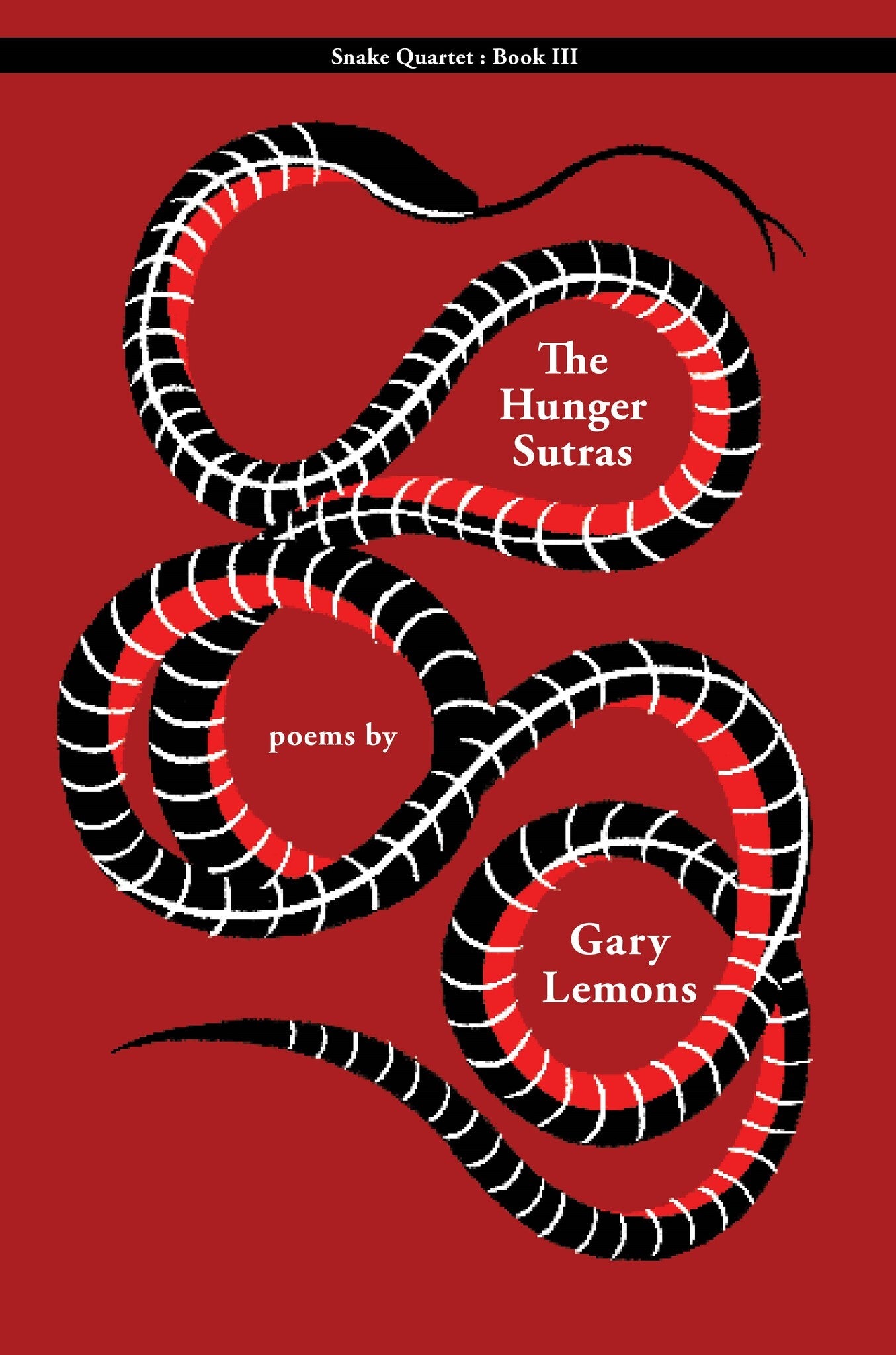 Cover image for Snake III ISBN 9781597096898