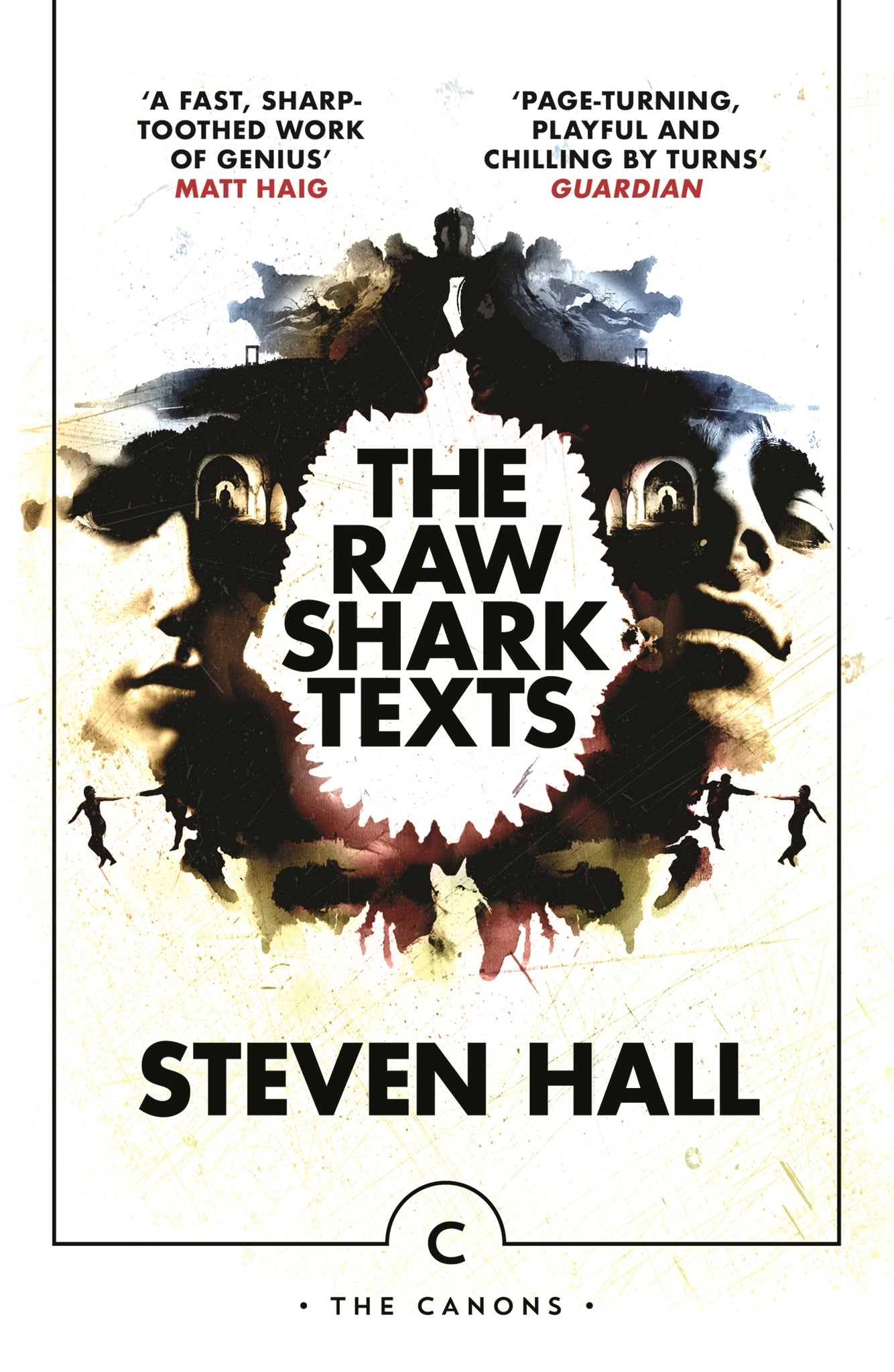 Cover image for The Raw Shark Texts ISBN 9781838851804