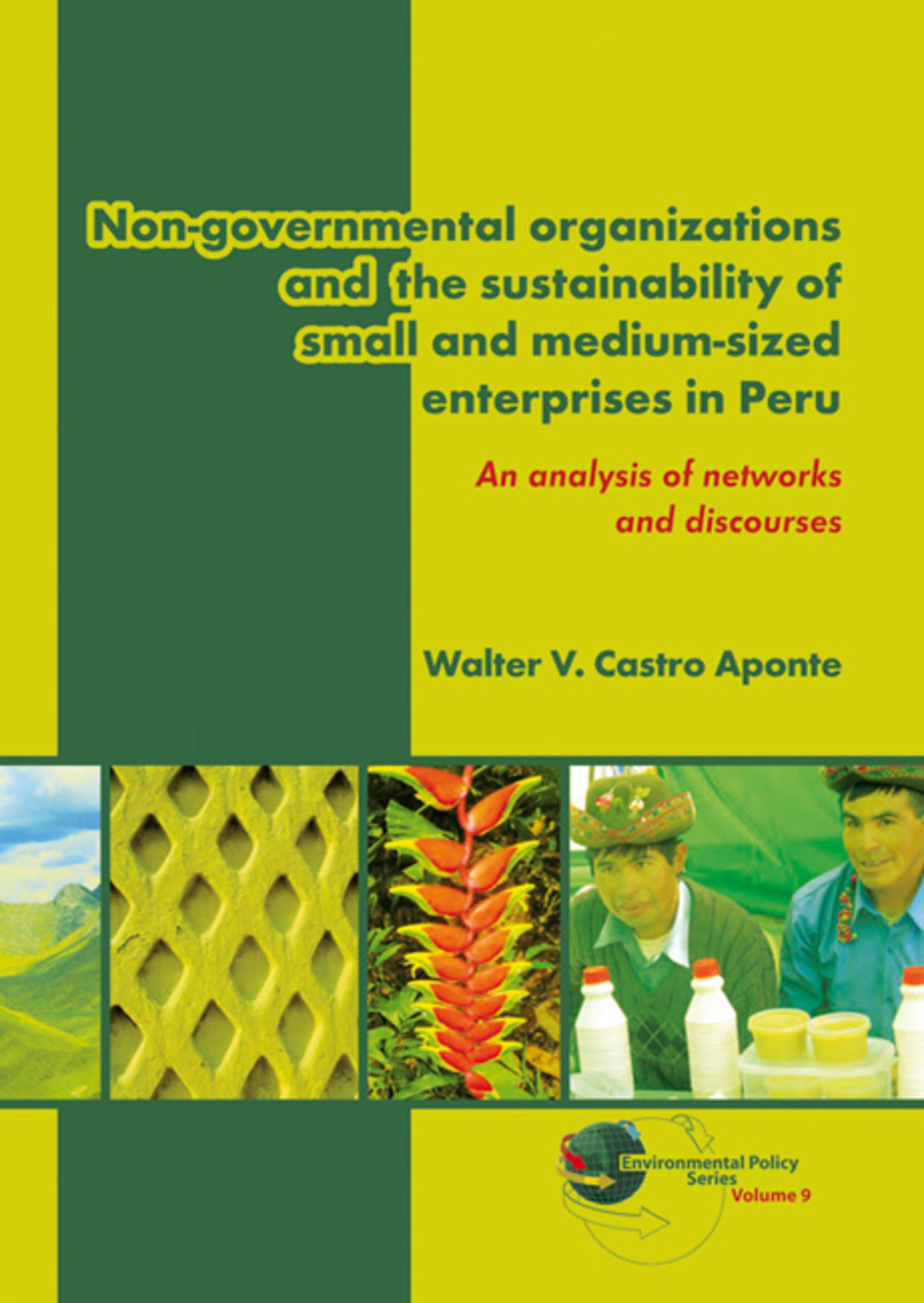 Non-governmental organizations and the sustainability of small and medium-sized enterprises in Peru