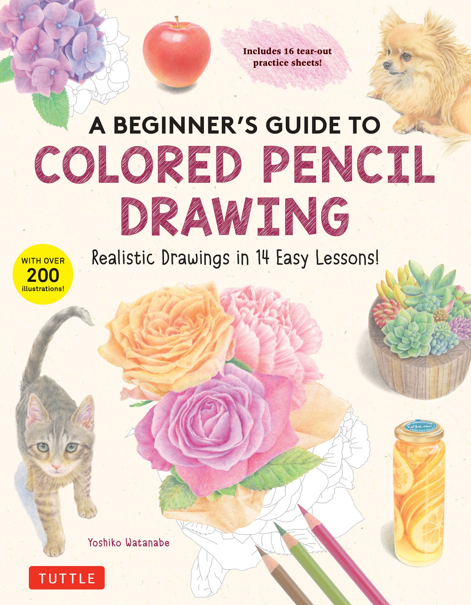 Cover image for A Beginner's Guide to Colored Pencil Drawing ISBN 9780804856249