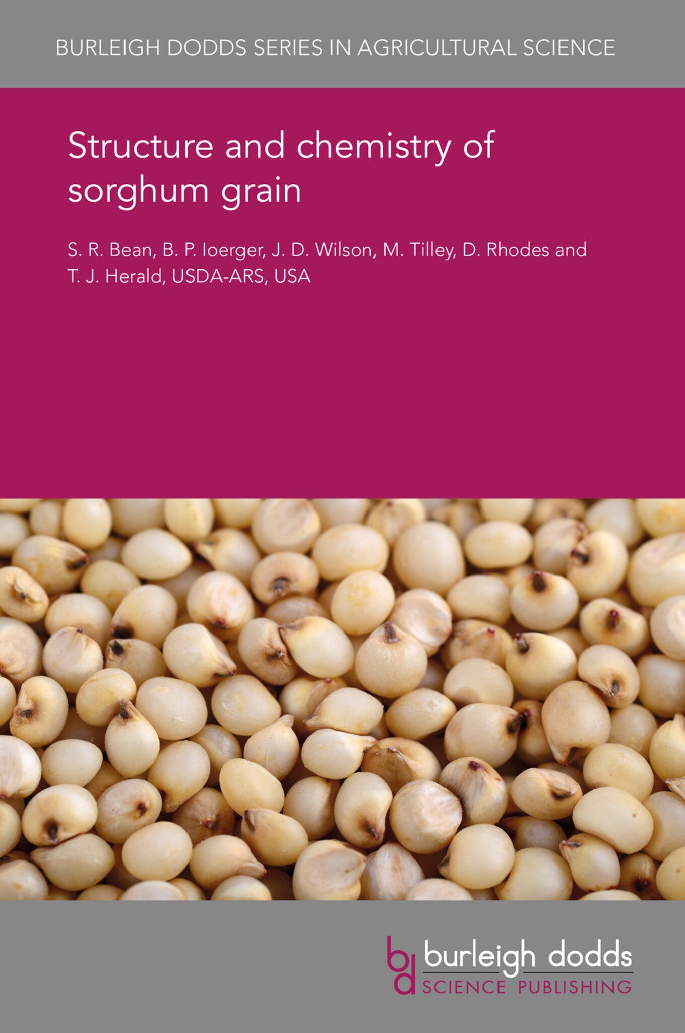 Cover image for Structure and chemistry of sorghum grain ISBN 9781838795474