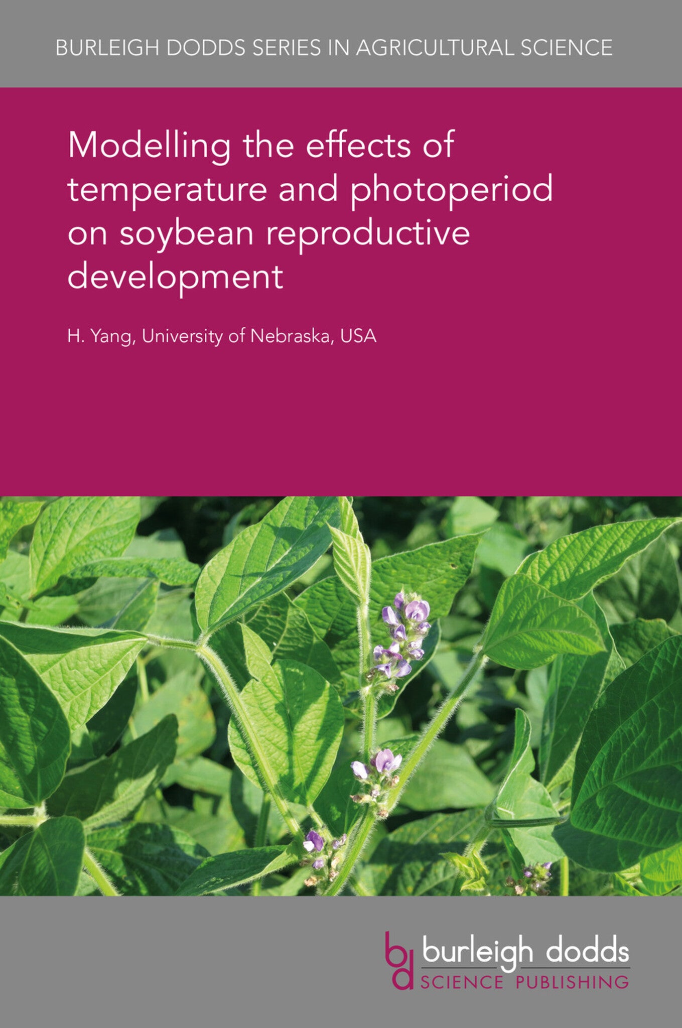 Cover image for Modelling the effects of temperature and photoperiod on soybean reproductive development ISBN 9781838795634