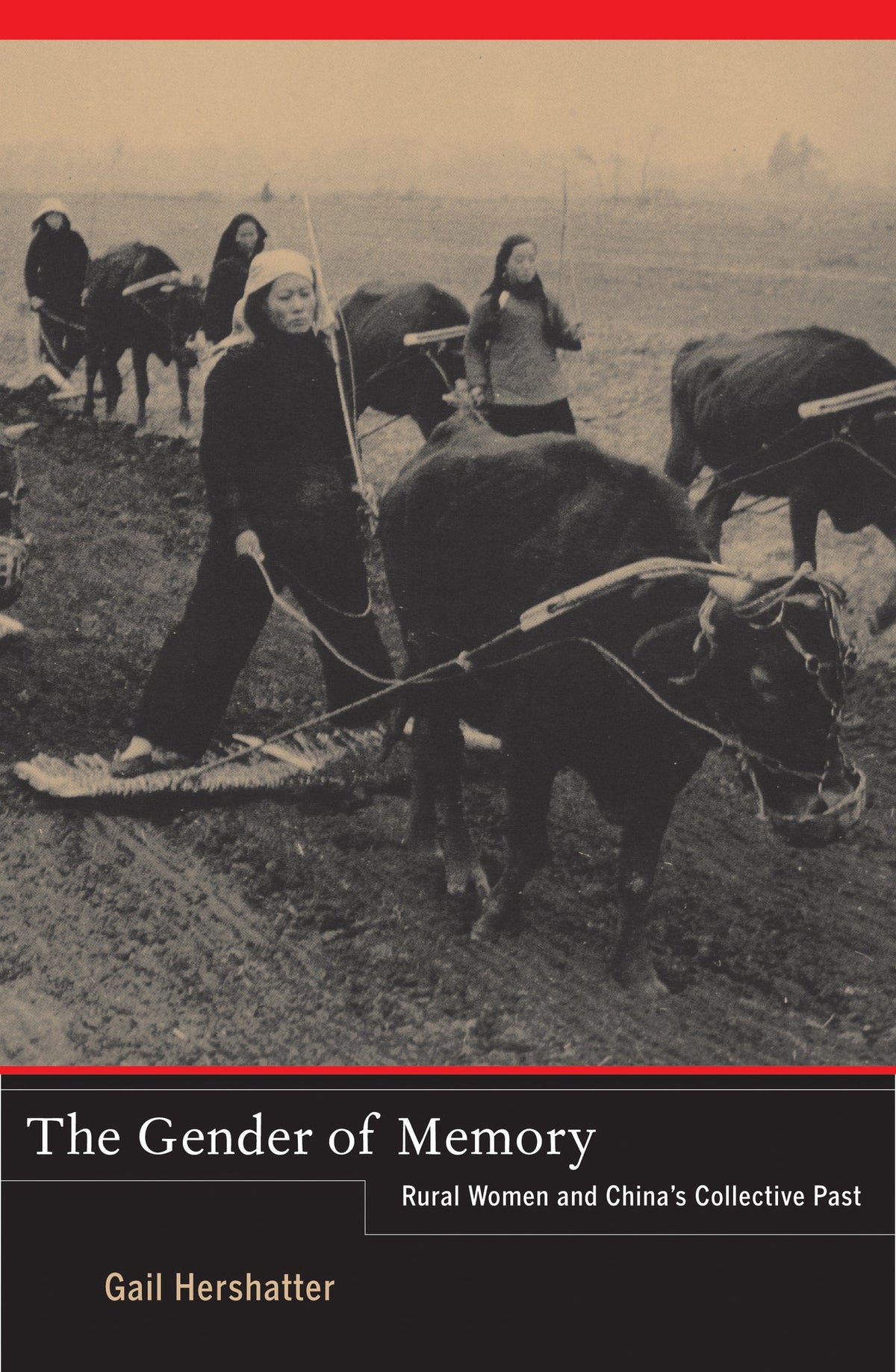 Cover image for The Gender of Memory ISBN 9780520950344