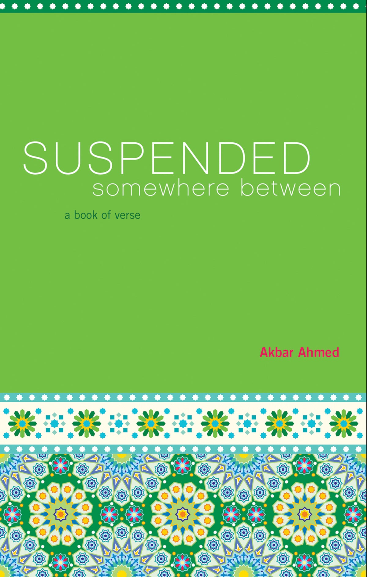 Cover image for Suspended Somewhere Between ISBN 9781604864854
