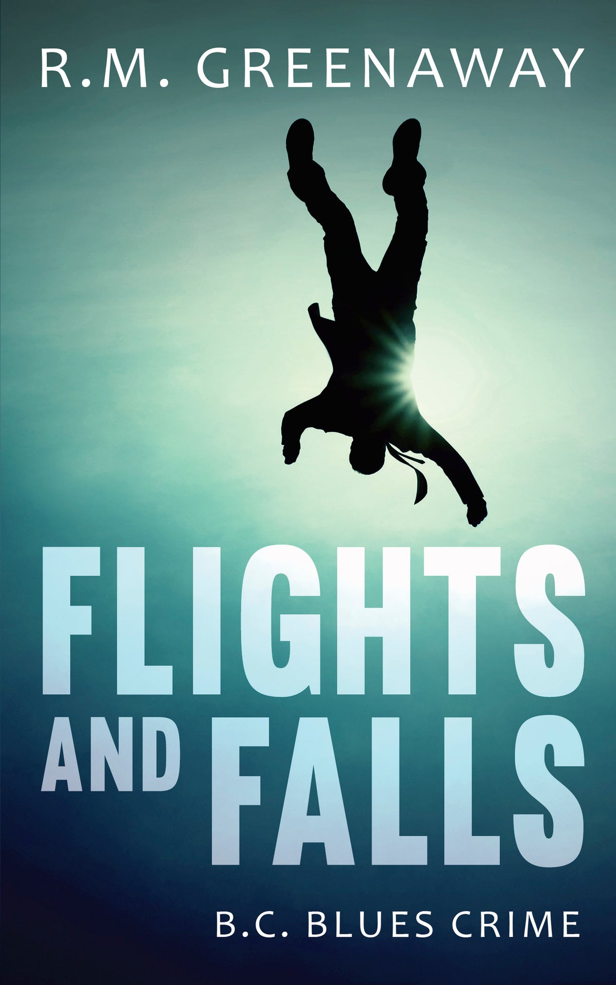 Cover image for Flights and Falls ISBN 9781459741508