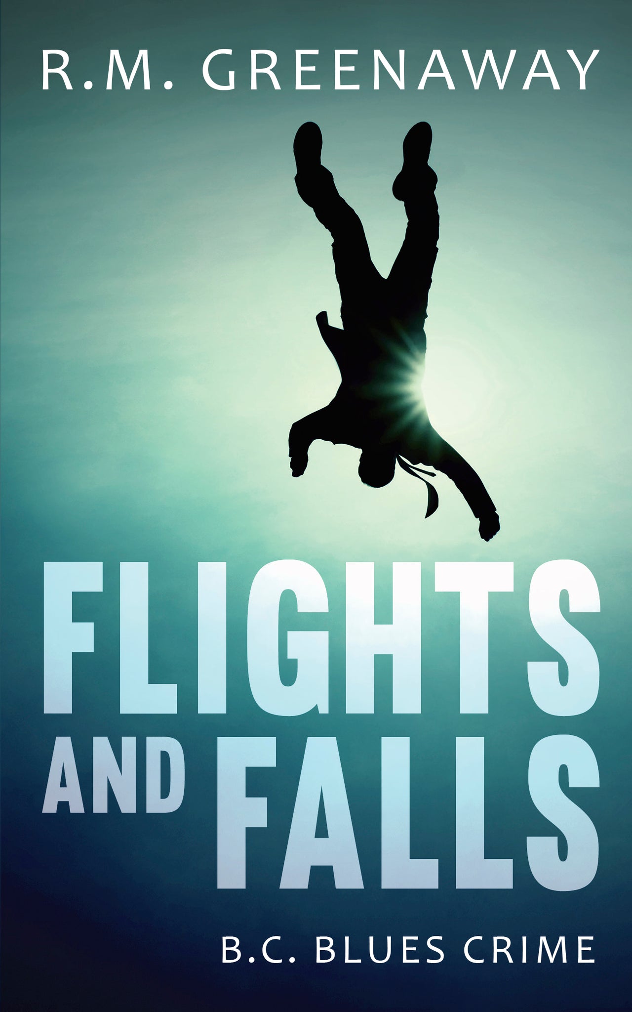 Cover image for Flights and Falls ISBN 9781459741508