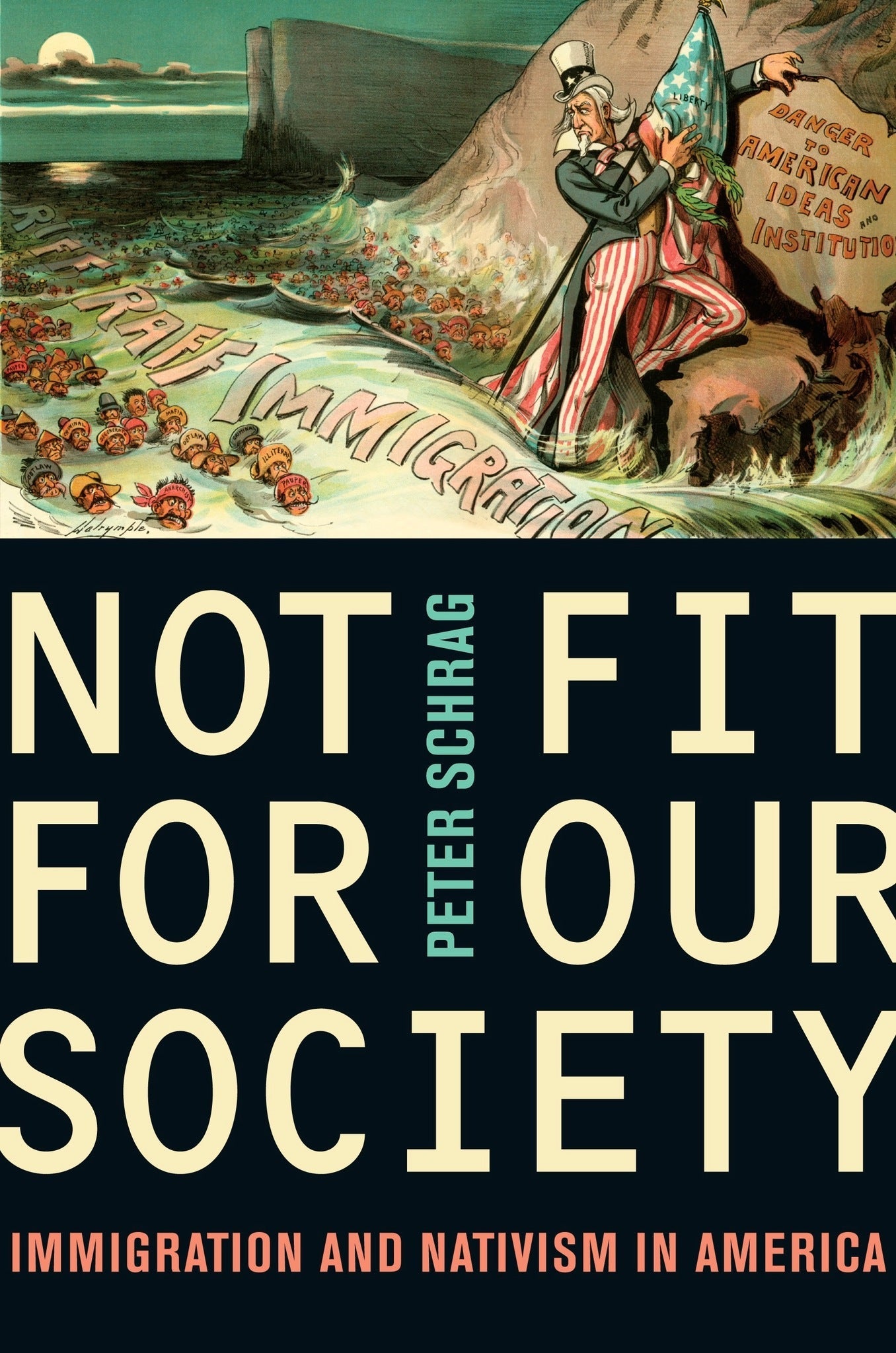 Cover image for Not Fit for Our Society ISBN 9780520945777