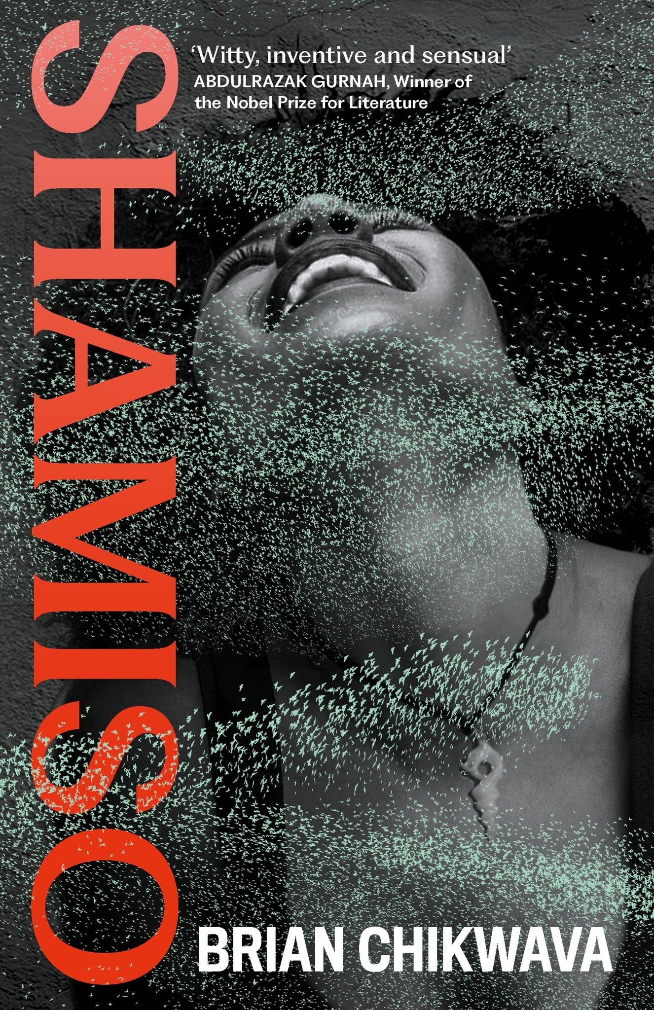 Cover image for Shamiso ISBN 9781805301271