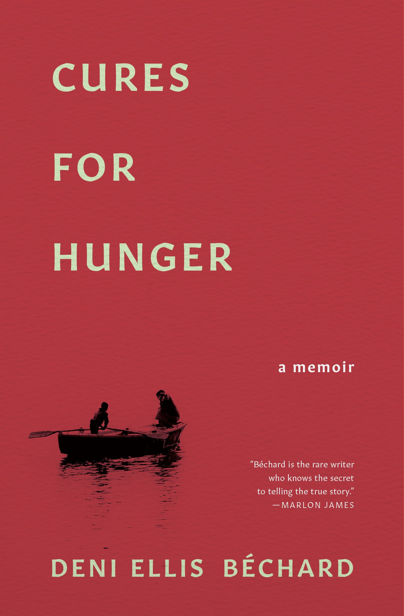 Cover image for Cures for Hunger ISBN 9781571313423