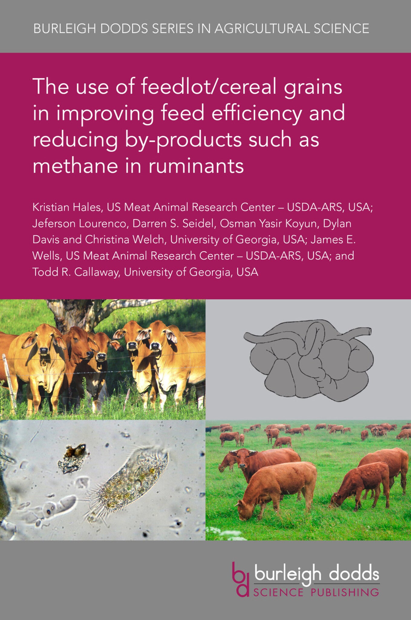 Cover image for The use of feedlot/cereal grains in improving feed efficiency and reducing by-products such as methane in ruminants ISBN 9781786768094