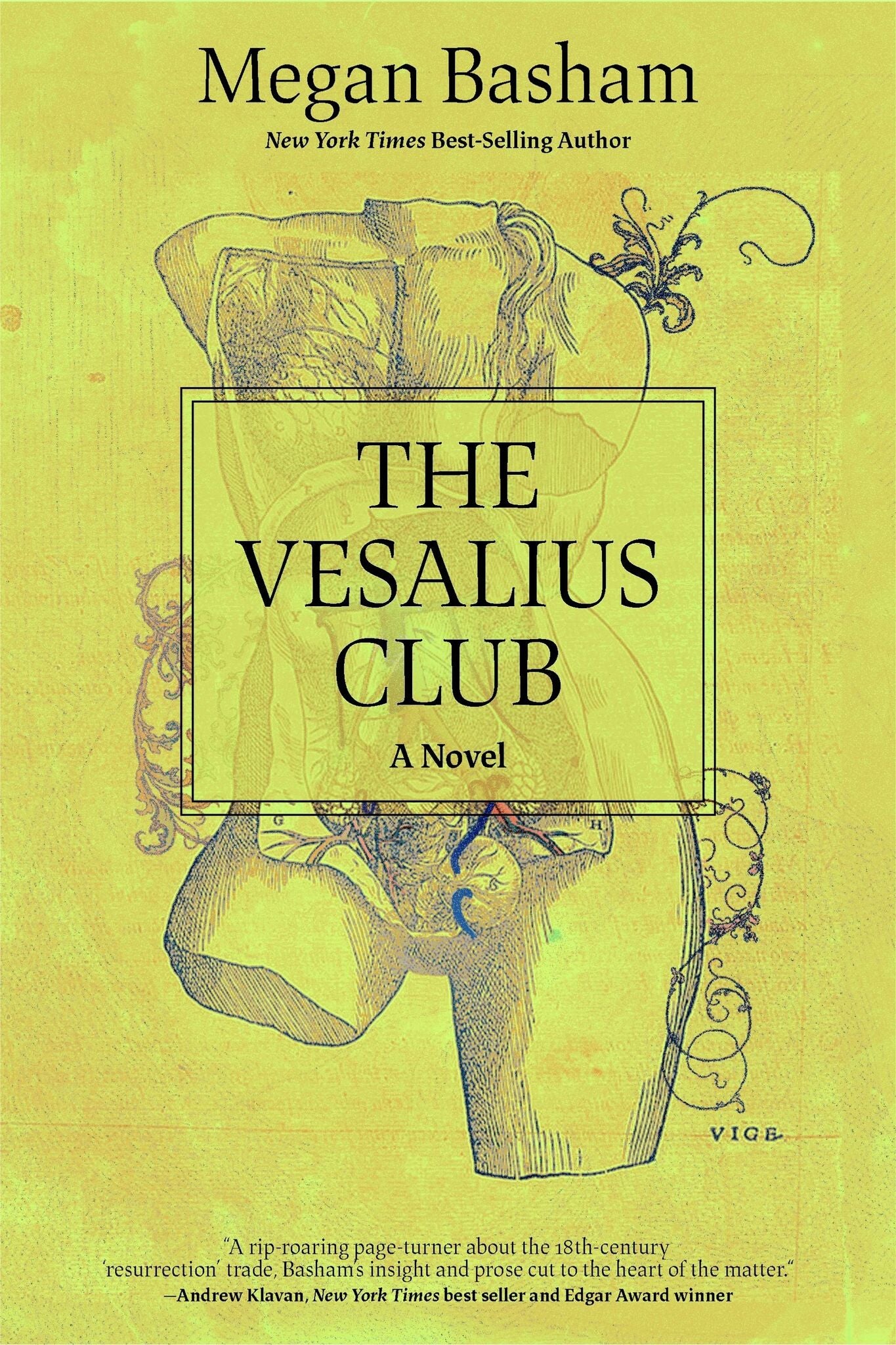 The Vesalius Club