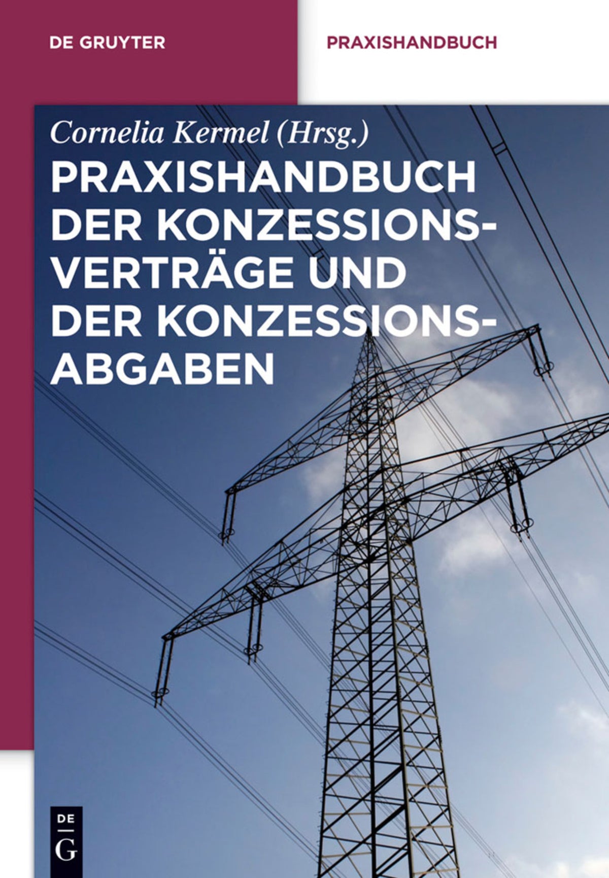Cover image for Praxishandbuch der Konzessionsverträge und der Konzessionsabgaben ISBN 9783110261615