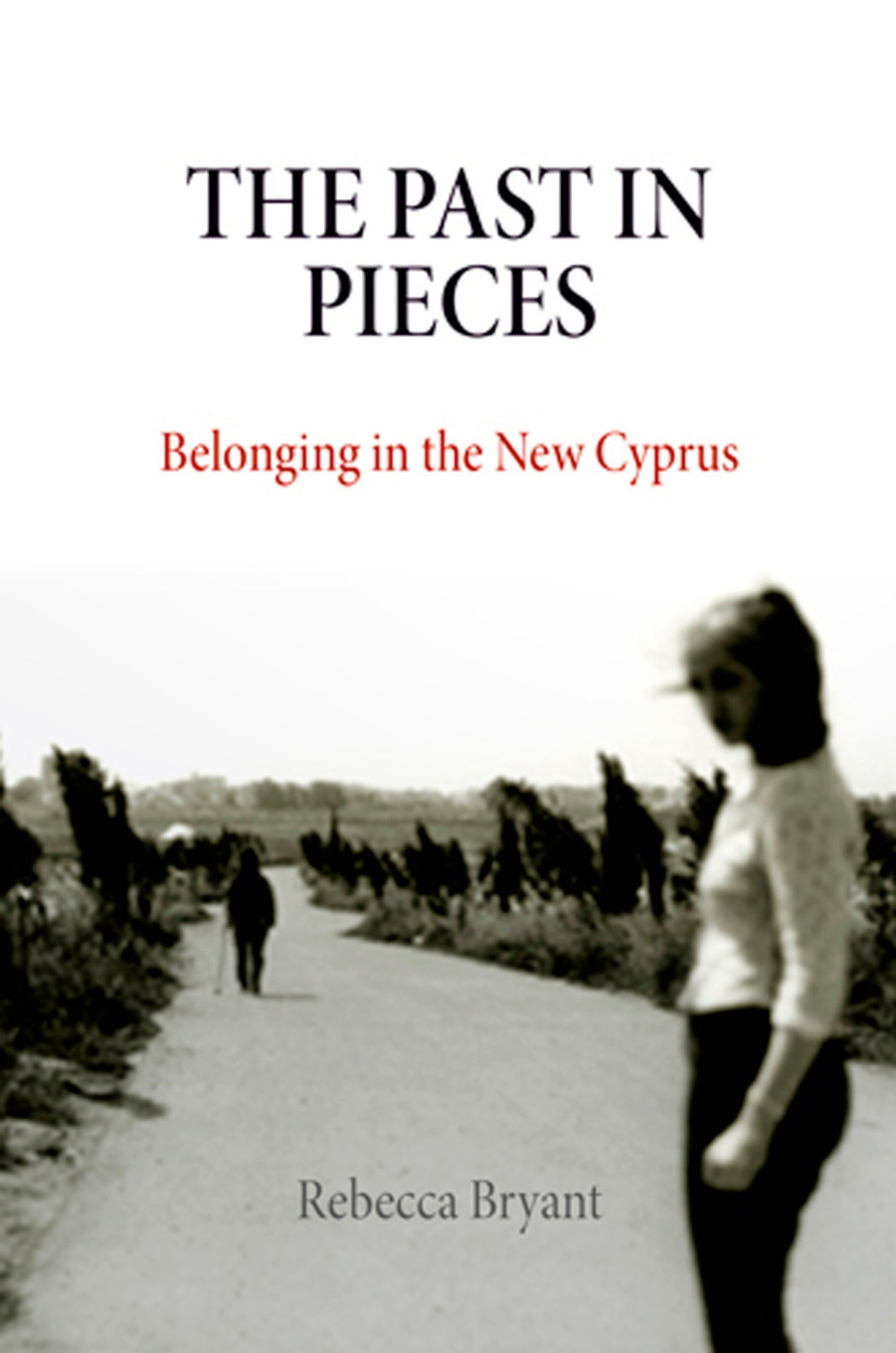 Cover image for The Past in Pieces ISBN 9780812222319