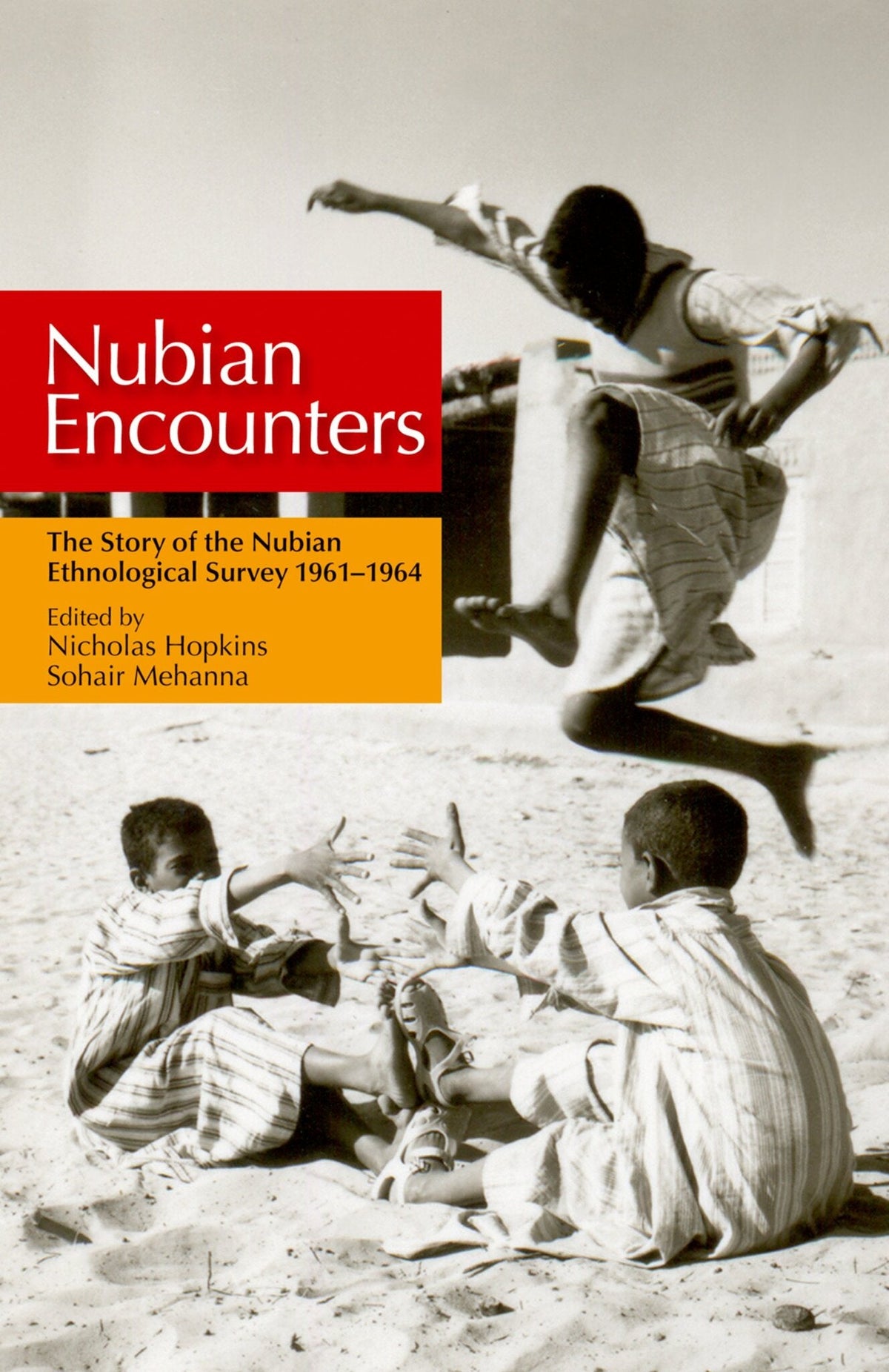 Cover image for Nubian Encounters: ISBN 9781617973833
