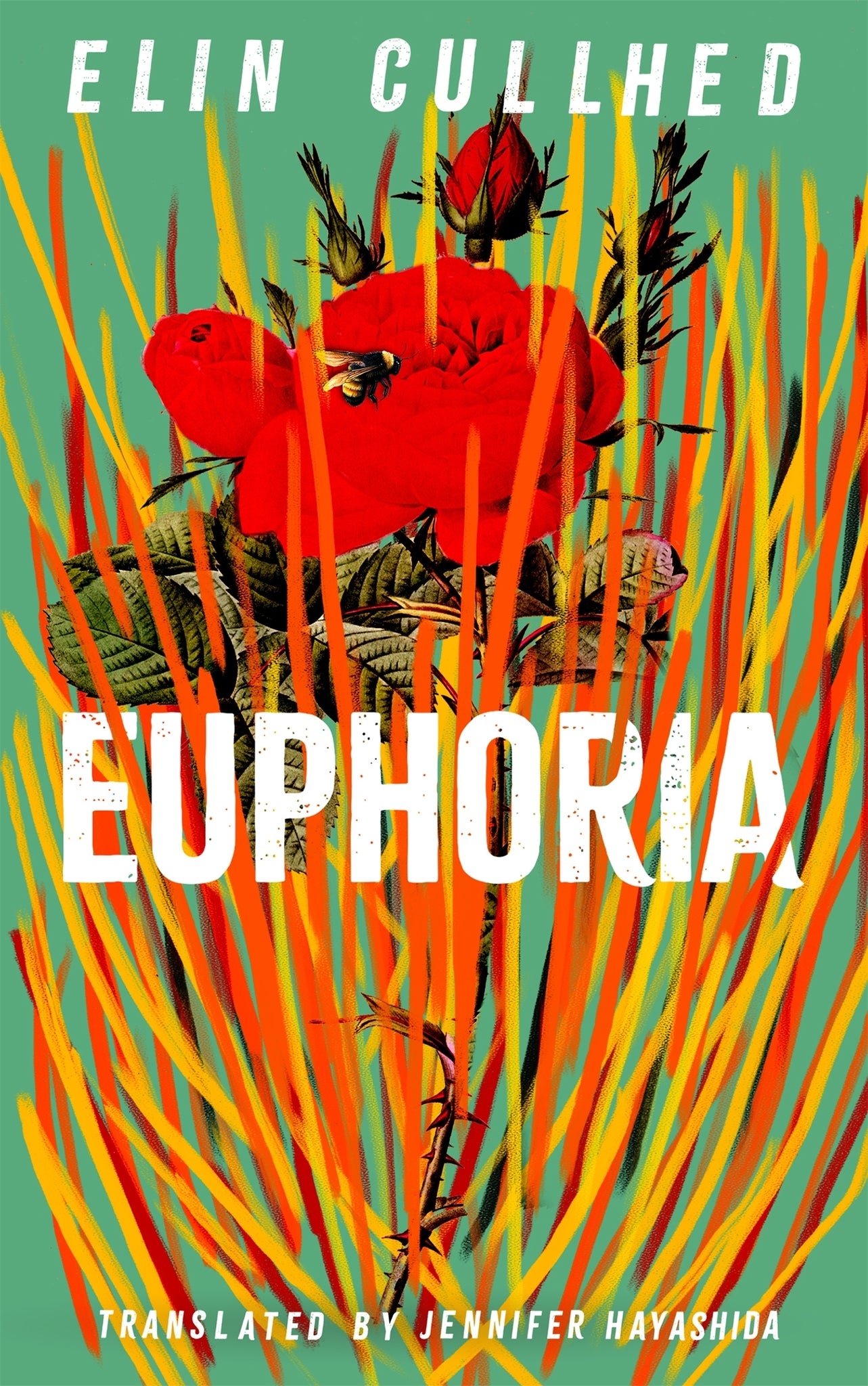 Cover image for Euphoria ISBN 9781838855963