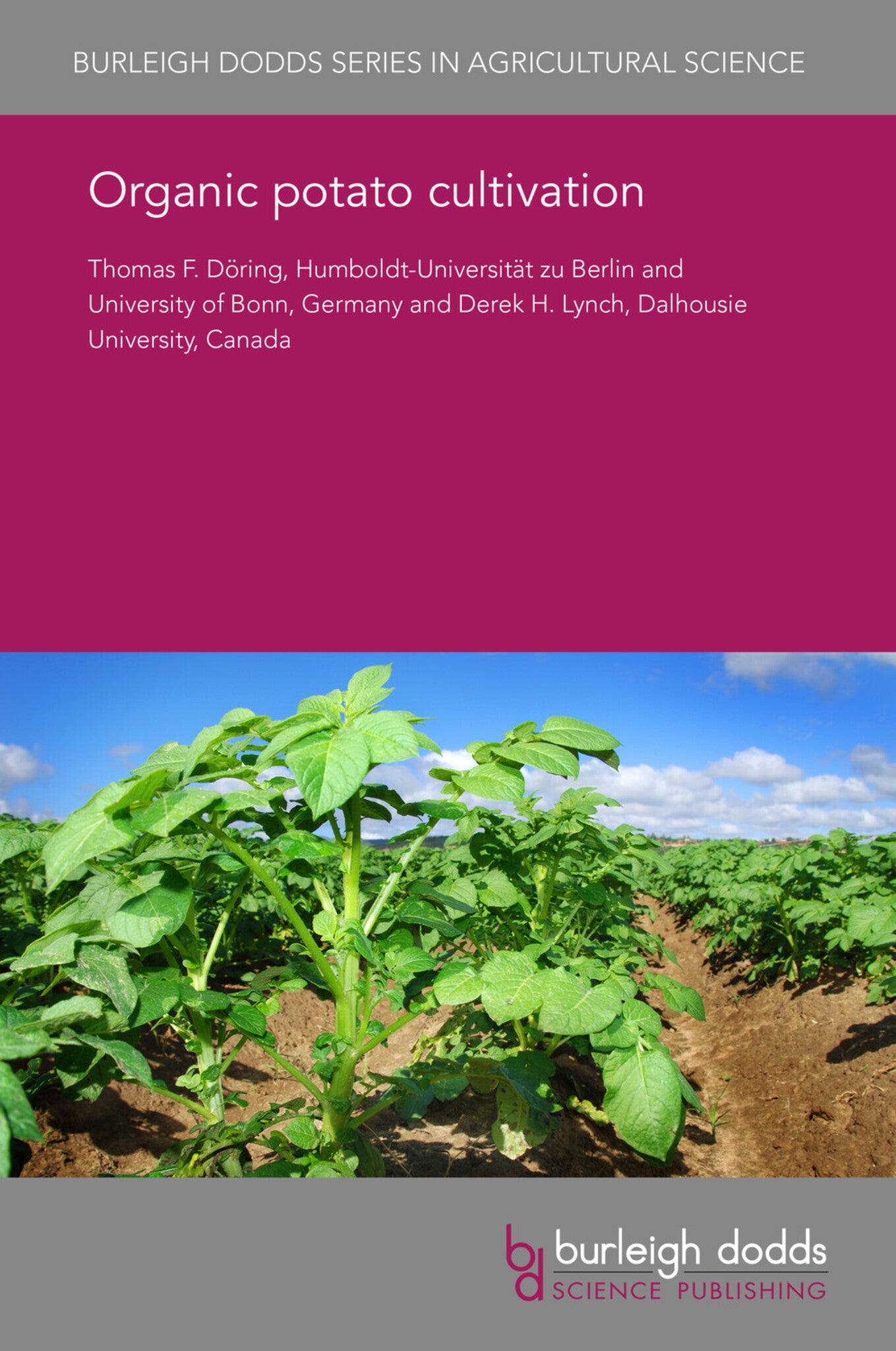 Organic potato cultivation