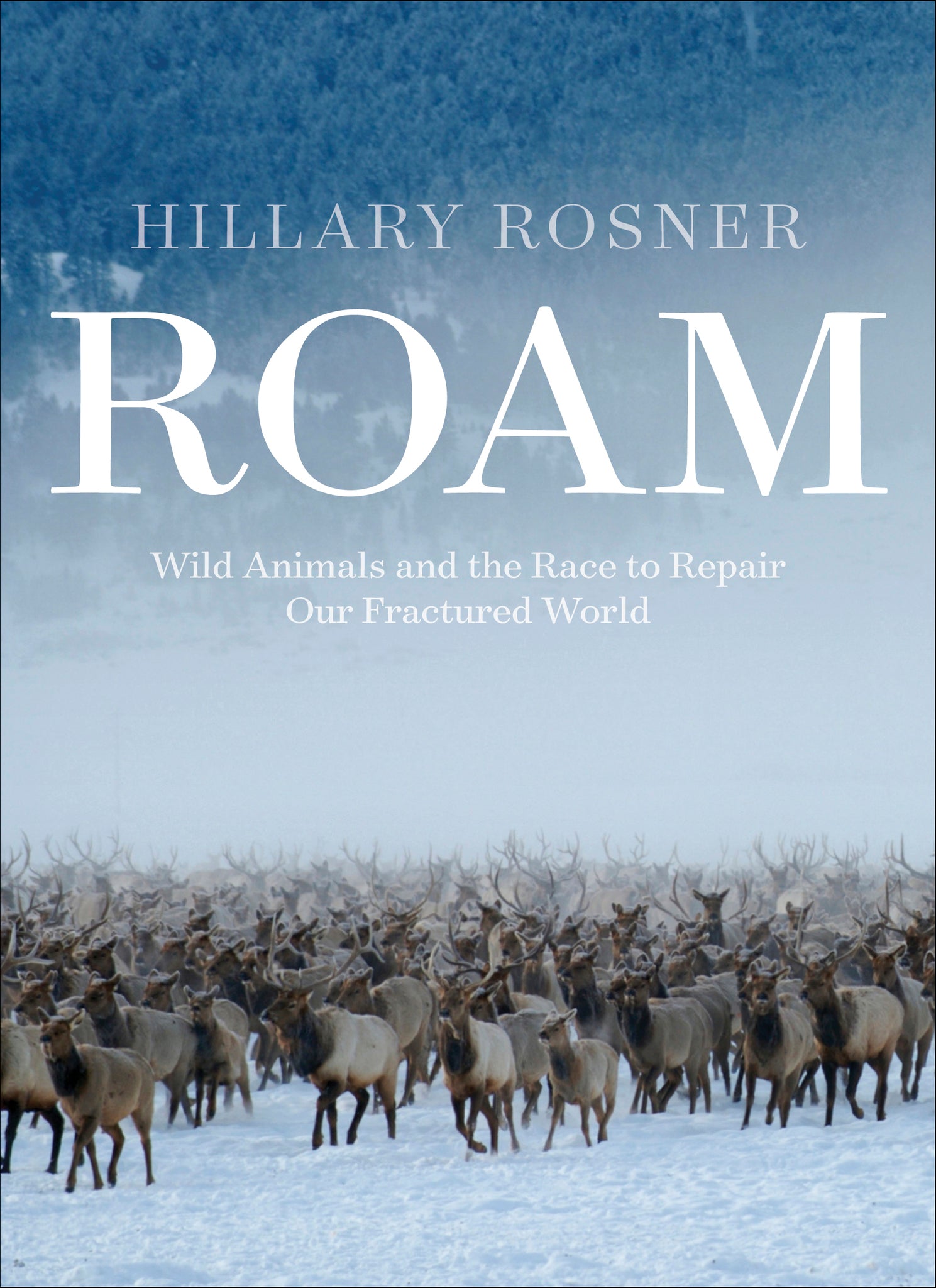 Cover image for Roam ISBN 