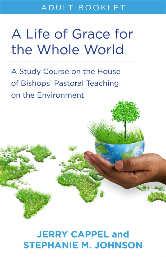 Life of Grace for the Whole World, Adult book