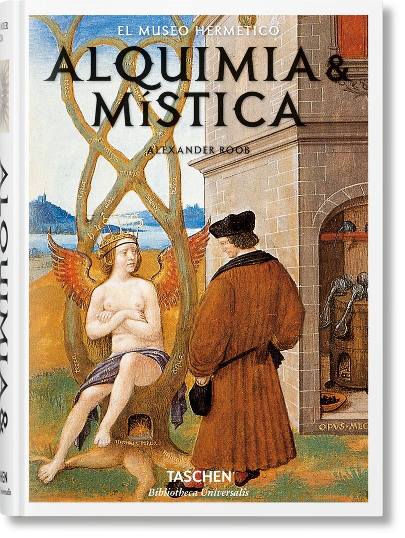 Cover image for Alquimia & mística ISBN 9783836549349