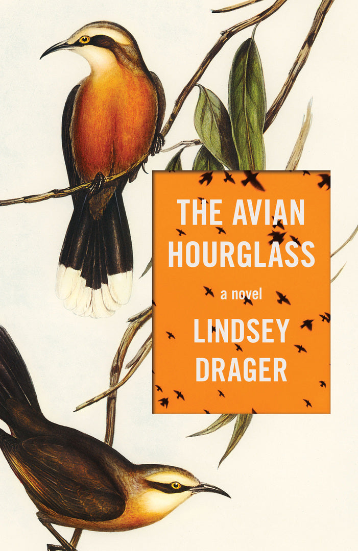 Cover image for The Avian Hourglass ISBN 9781950539970