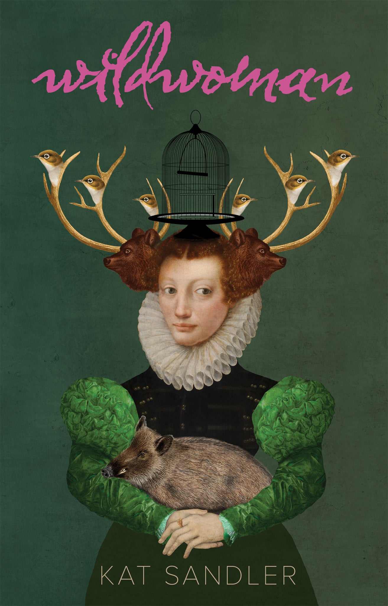 Cover image for WILDWOMAN ISBN 9780369105516