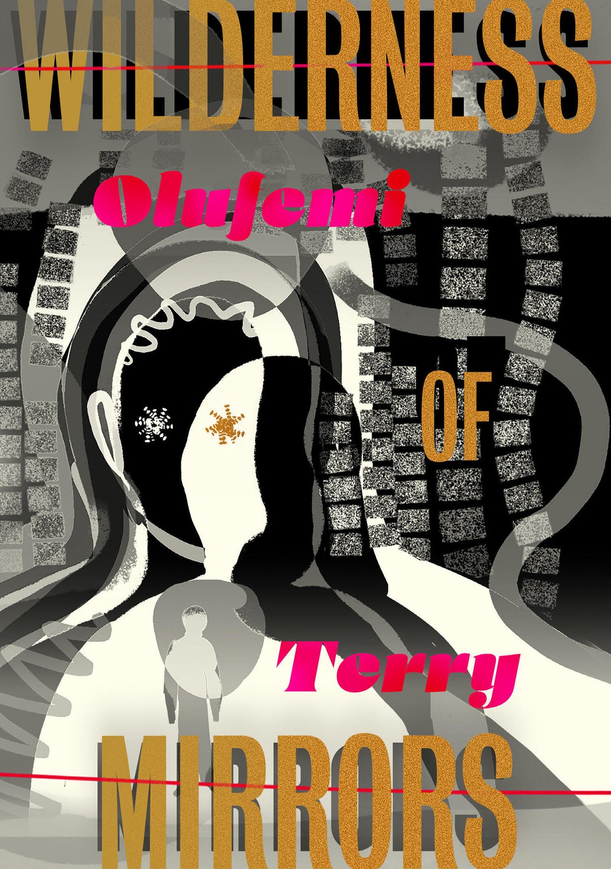 Cover image for Wilderness of Mirrors ISBN 