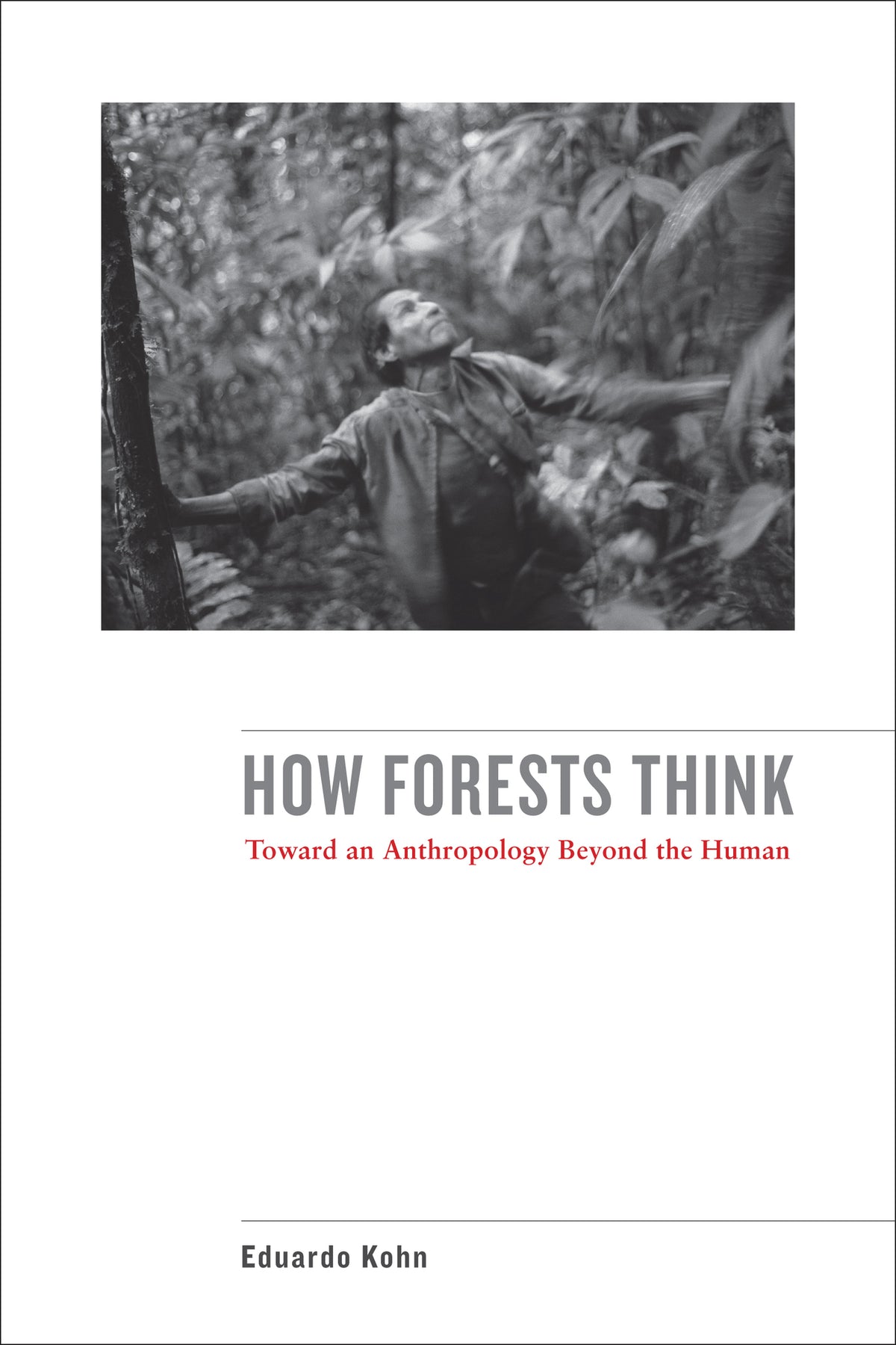Cover image for How Forests Think ISBN 9780520276109