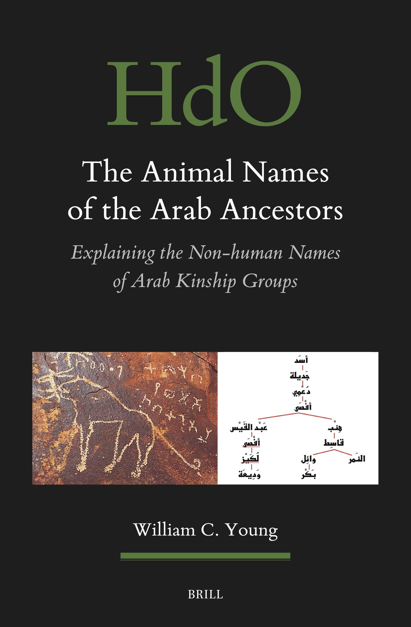Cover image for The Animal Names of the Arab Ancestors ISBN 9789004697478