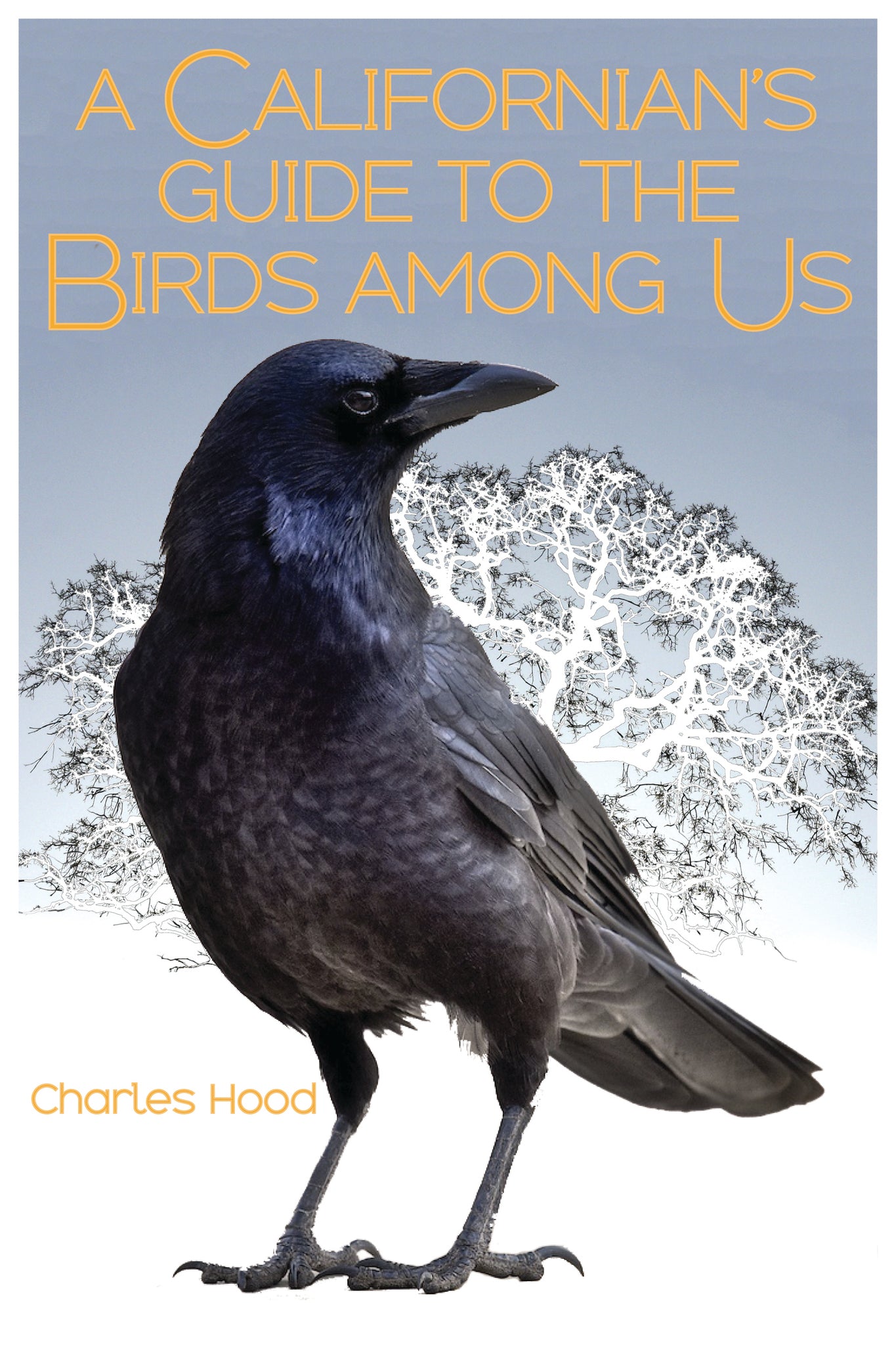 Cover image for A Californian's Guide to the Birds Among Us ISBN 9781597143837