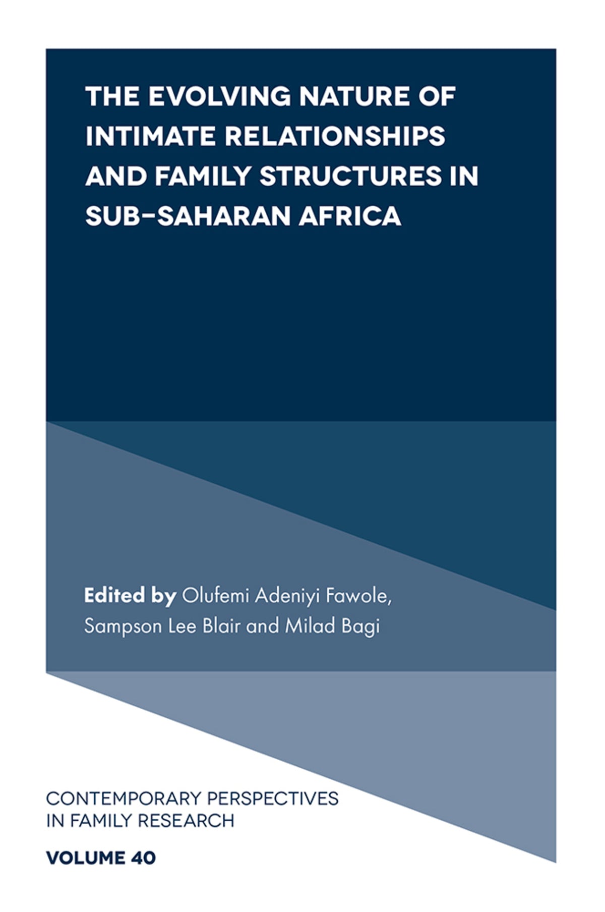 Cover image for The Evolving Nature of Intimate Relationships and Family Structures in Sub-Saharan Africa ISBN 9781808351976