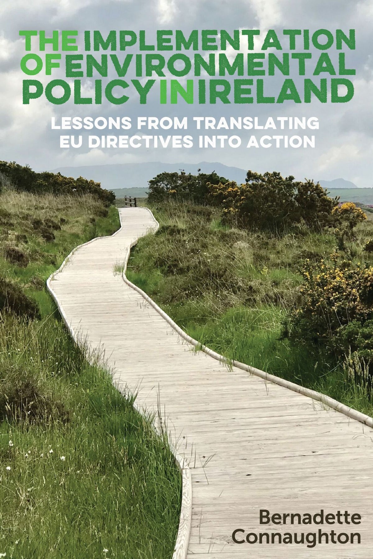 Cover image for The implementation of environmental policy in Ireland ISBN 9780719088872